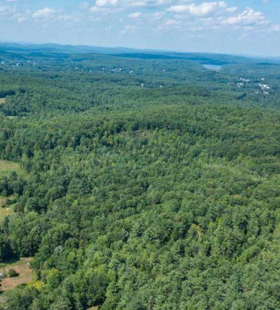 Search Homes for Sale