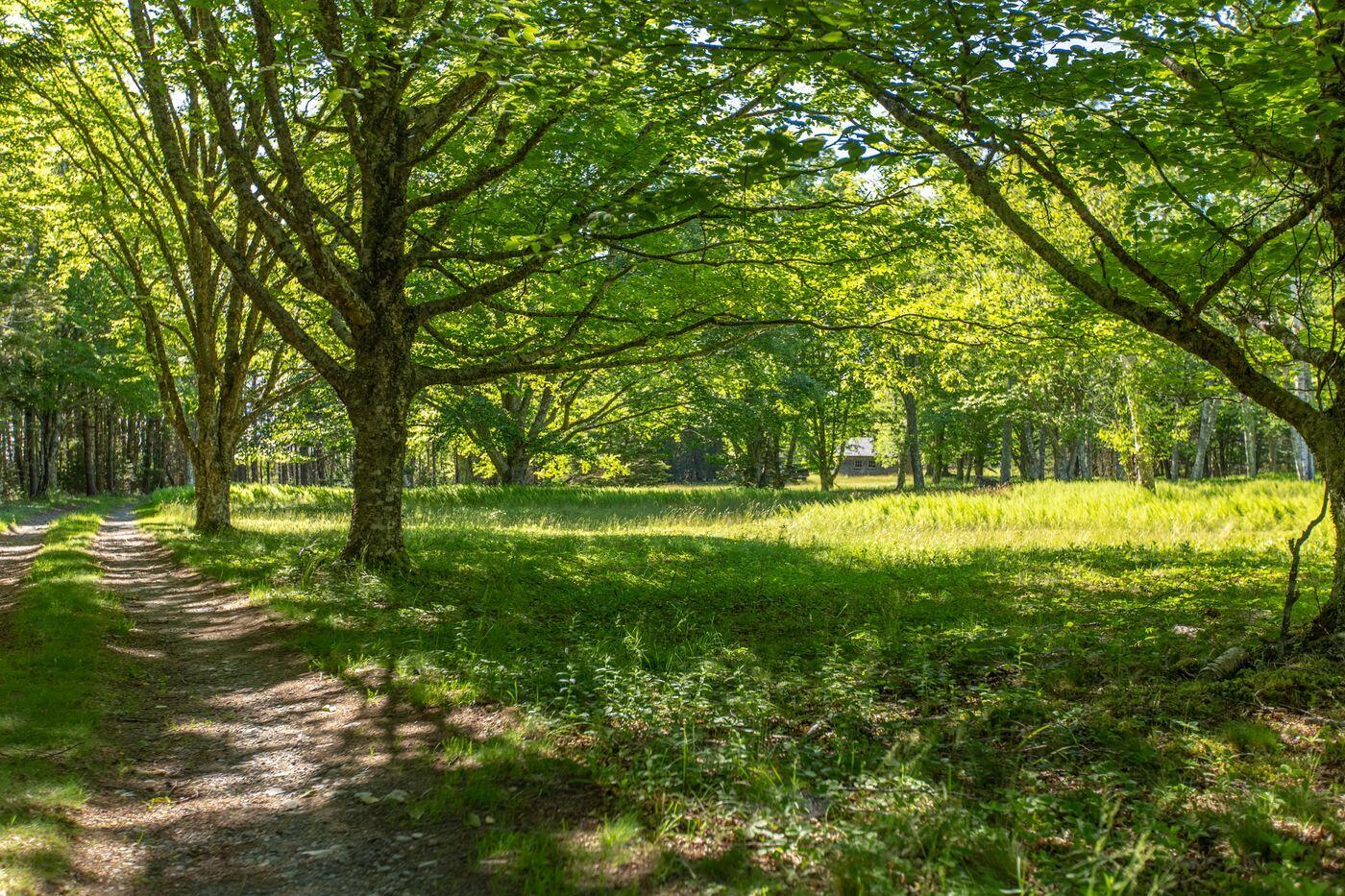 Lot 001 Sheephead Island, Deer Isle, ME, 04627