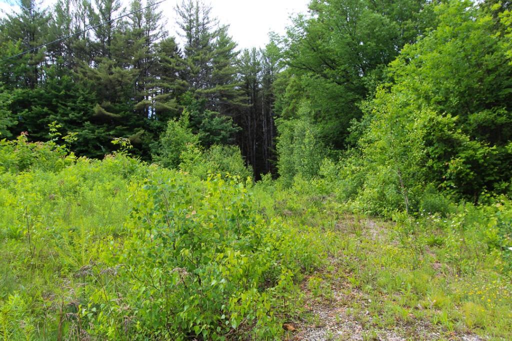 00 Cross Street, Greenwood, ME, 04255