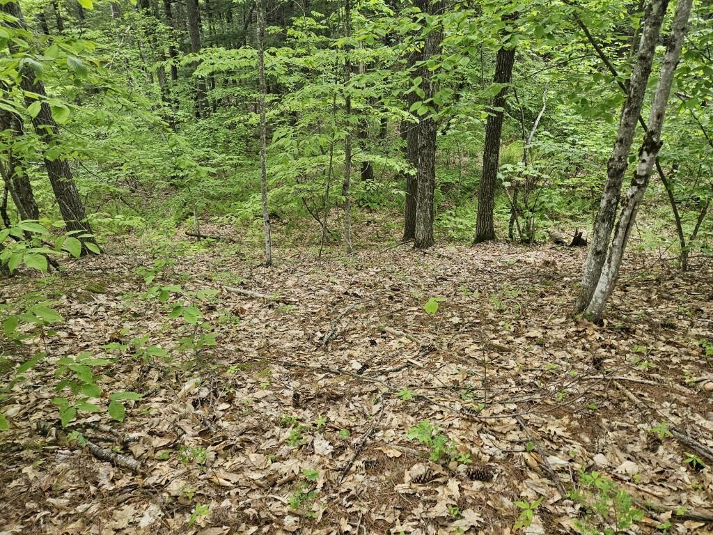 M10L44 Mountain View Road, Fryeburg, ME, 04037