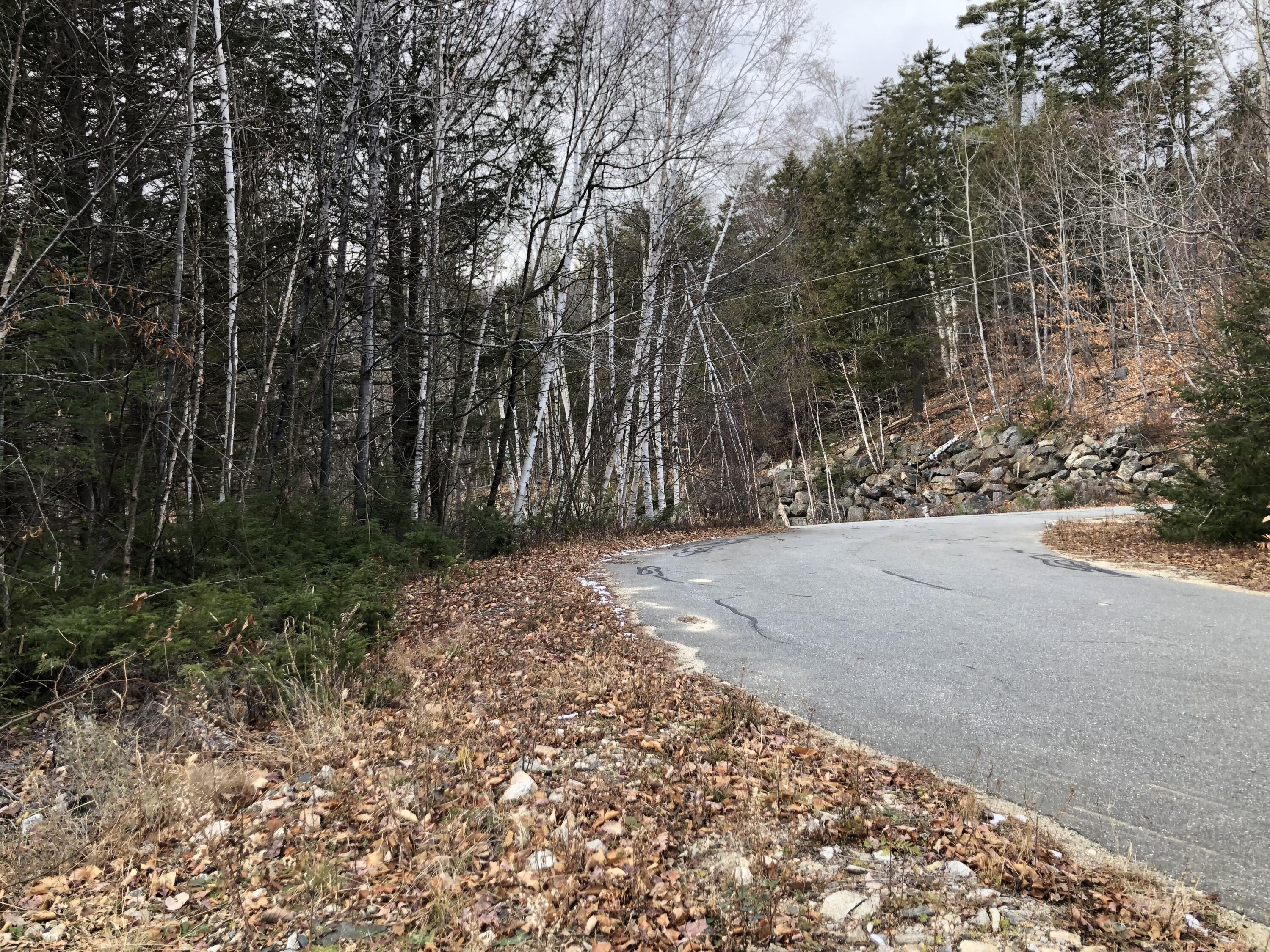 Lot 67 Snowbird Lane, Newry, ME, 04261