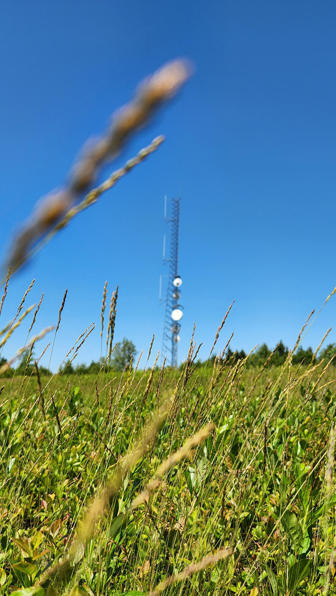 533 Mount Ephraim Map 4 Lot 63 Road, Searsport, ME, 04974