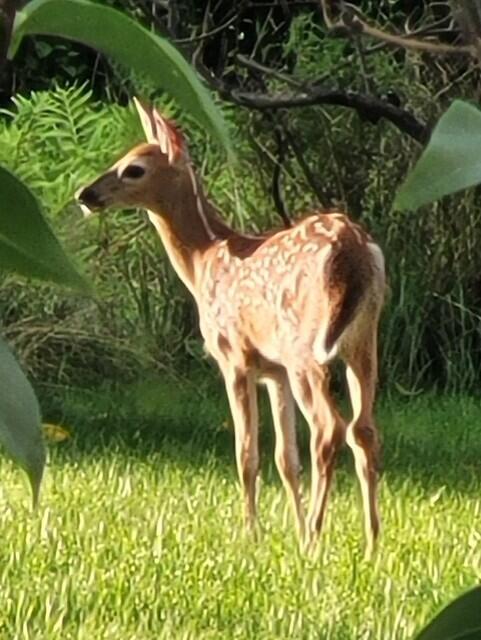 38 Kuvaja Road, Greenwood, ME, 04255