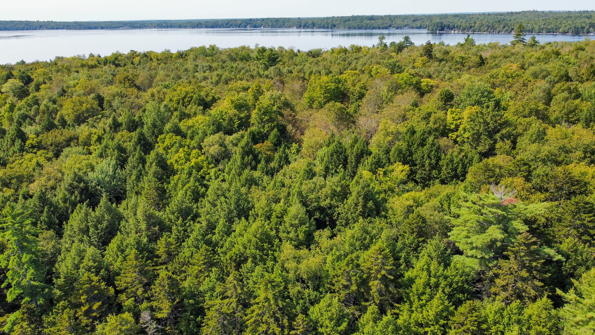 P/O M29L23 Bluff Road, Enfield, ME, 04493