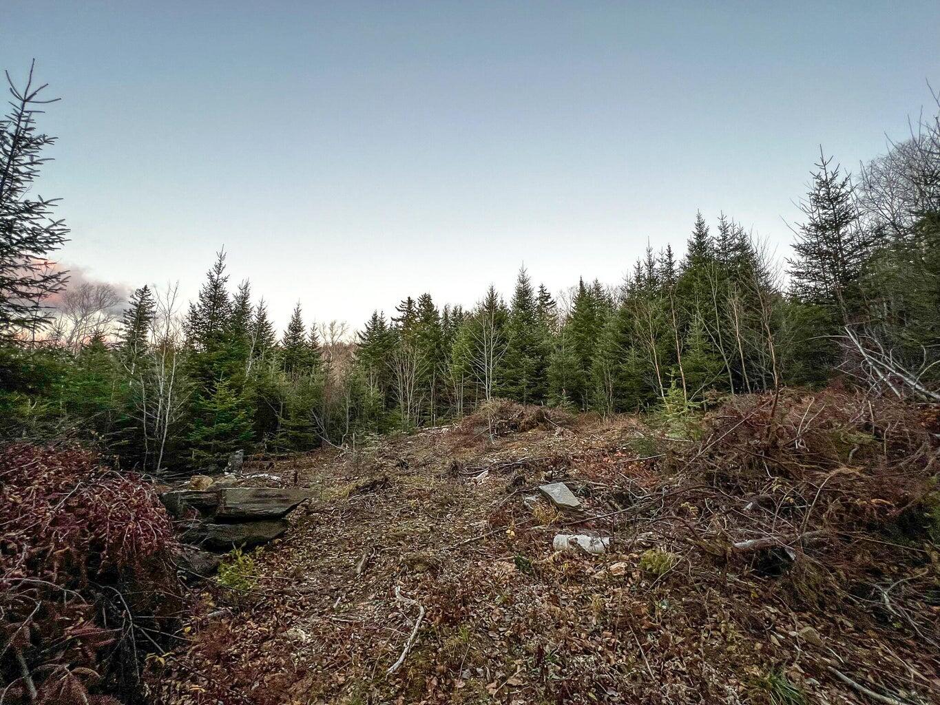 Lot 16 Mill Brook Road, Sandy River Plt, ME, 04970