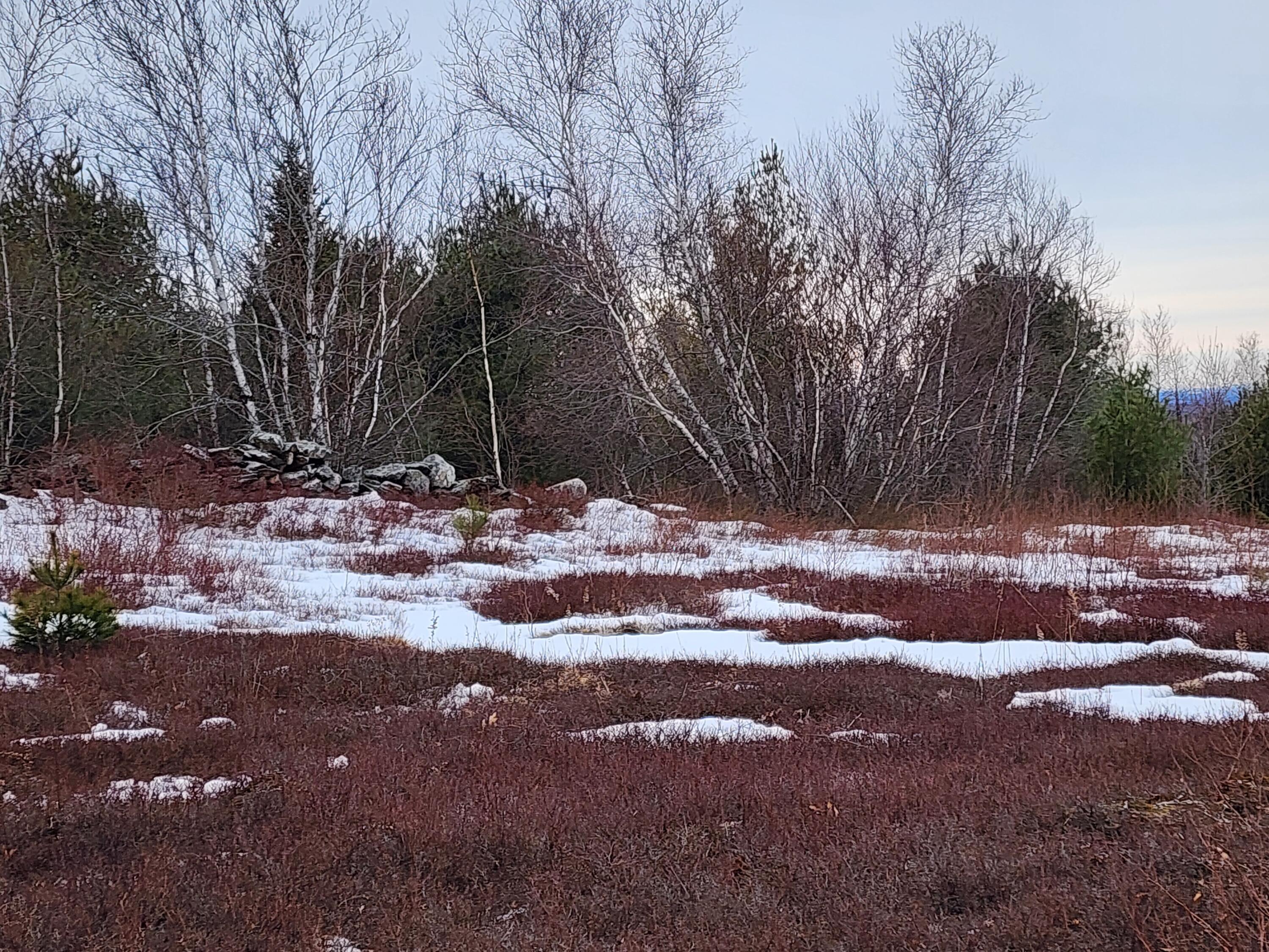 3 Whispering Berries Hill, Liberty, ME, 04949