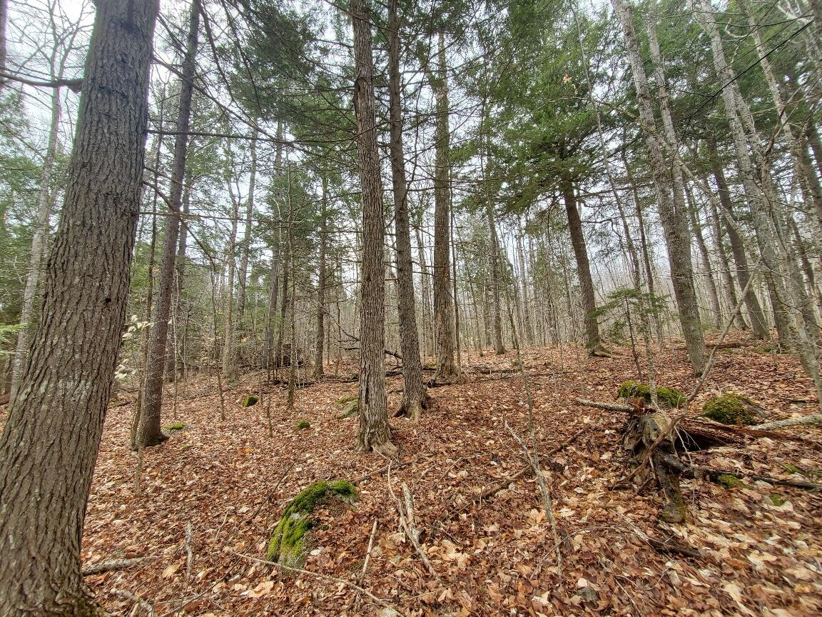 0 Sandy Beach Road, Danforth, ME, 04424