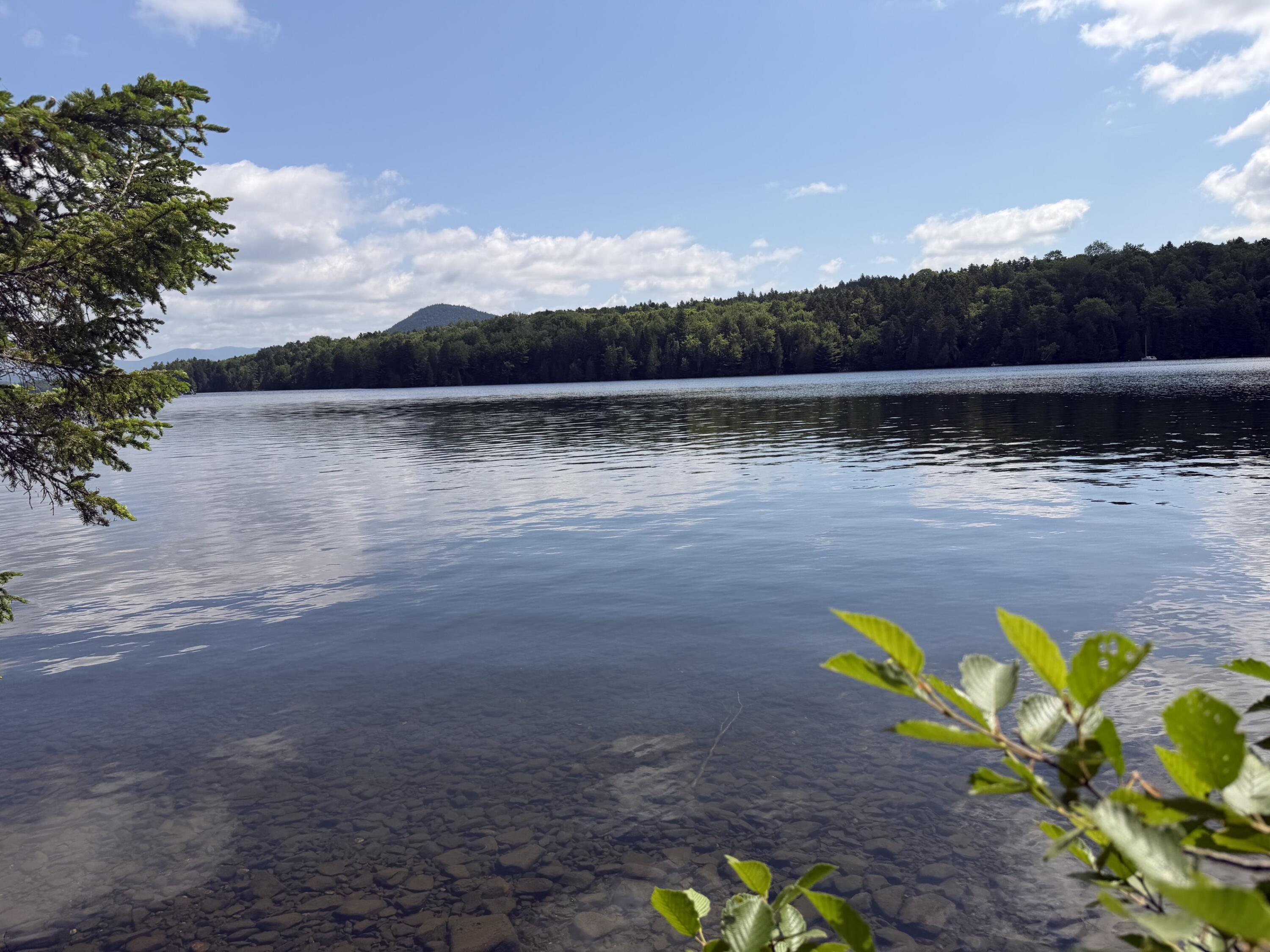 Photo of Map 40 Lot 5 Wilson Pond Road Greenville ME 04441