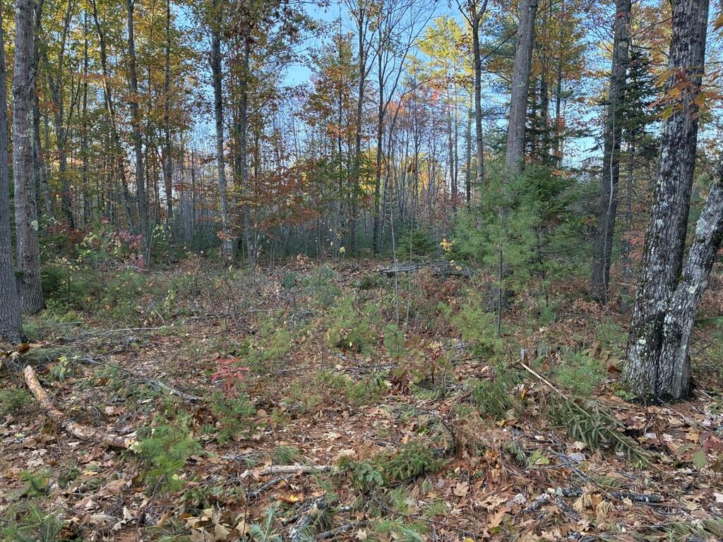 Farmington Maine Real Estate & Homes For Sale