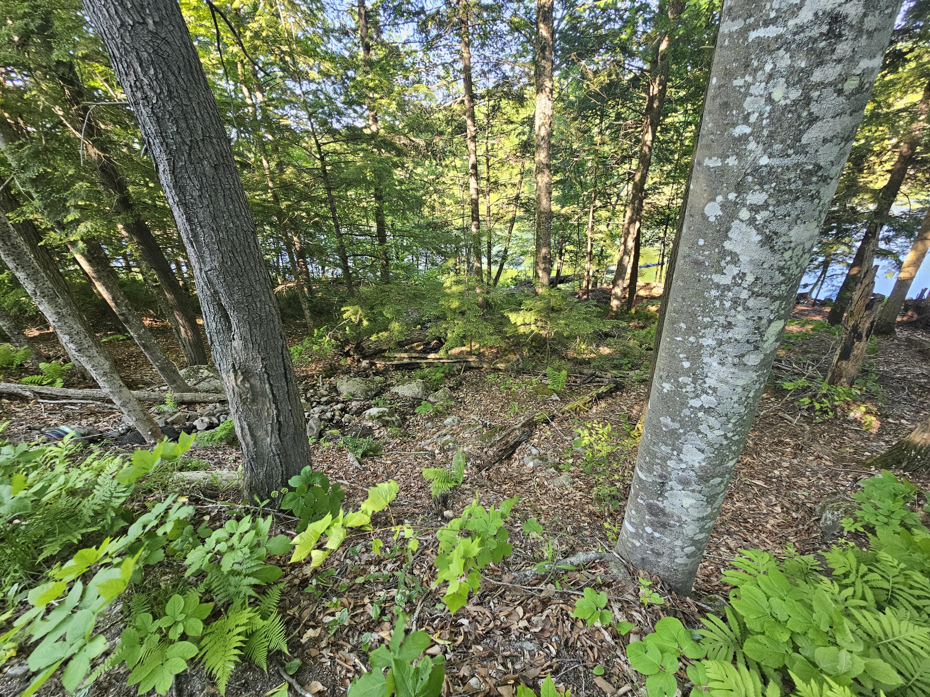 PL5,6,9,10 Great Moose Drive, Hartland, ME, 04493