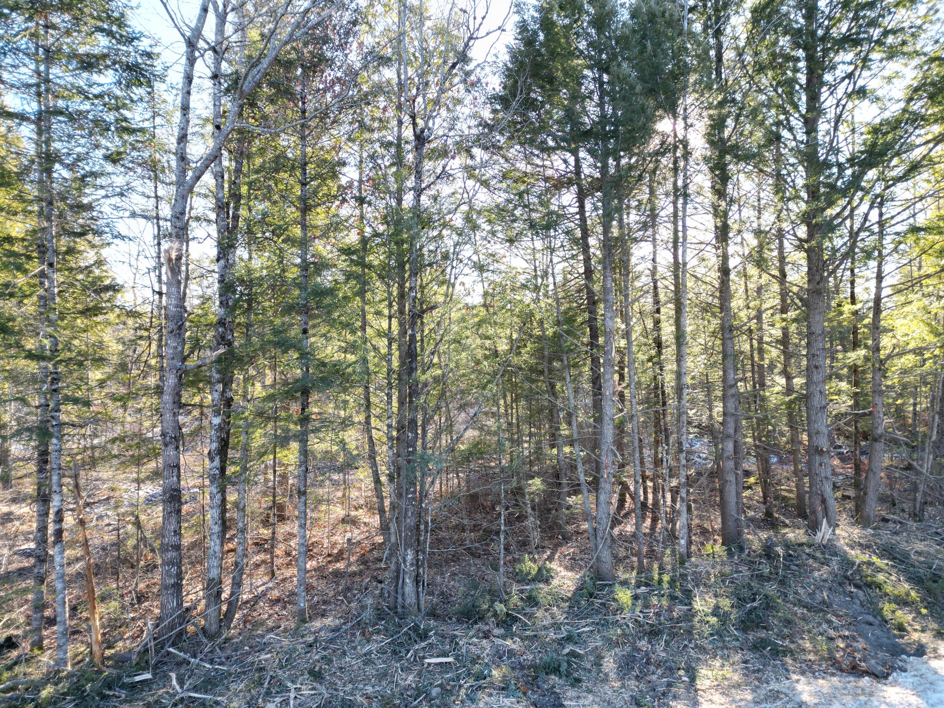 Lot 1 Mattamiscontis Road, Howland, ME, 04448
