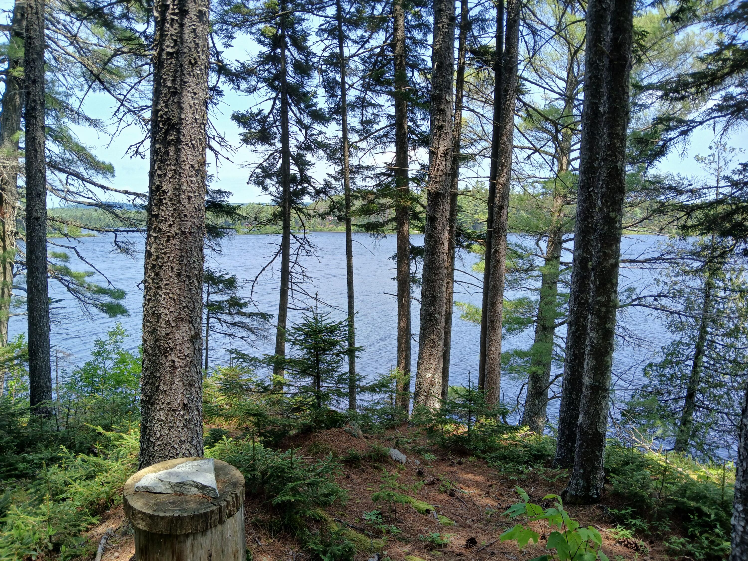 Lot UNIT&nbsp;16.2 Lane Pond Road, Carrying Place Town Twp, ME, 04961