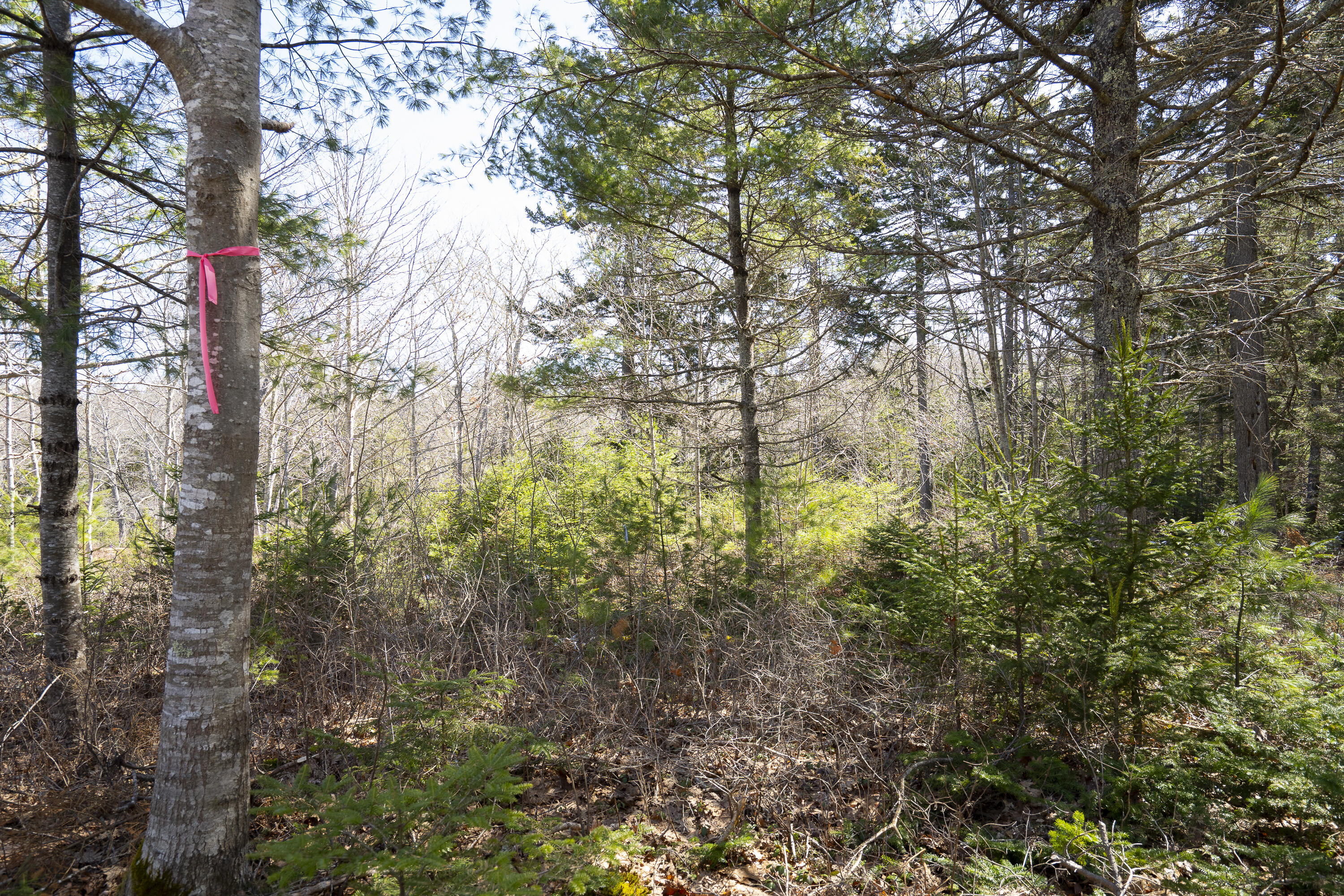 P/O 4-1 Cameron Point Road, Southport, ME, 04576