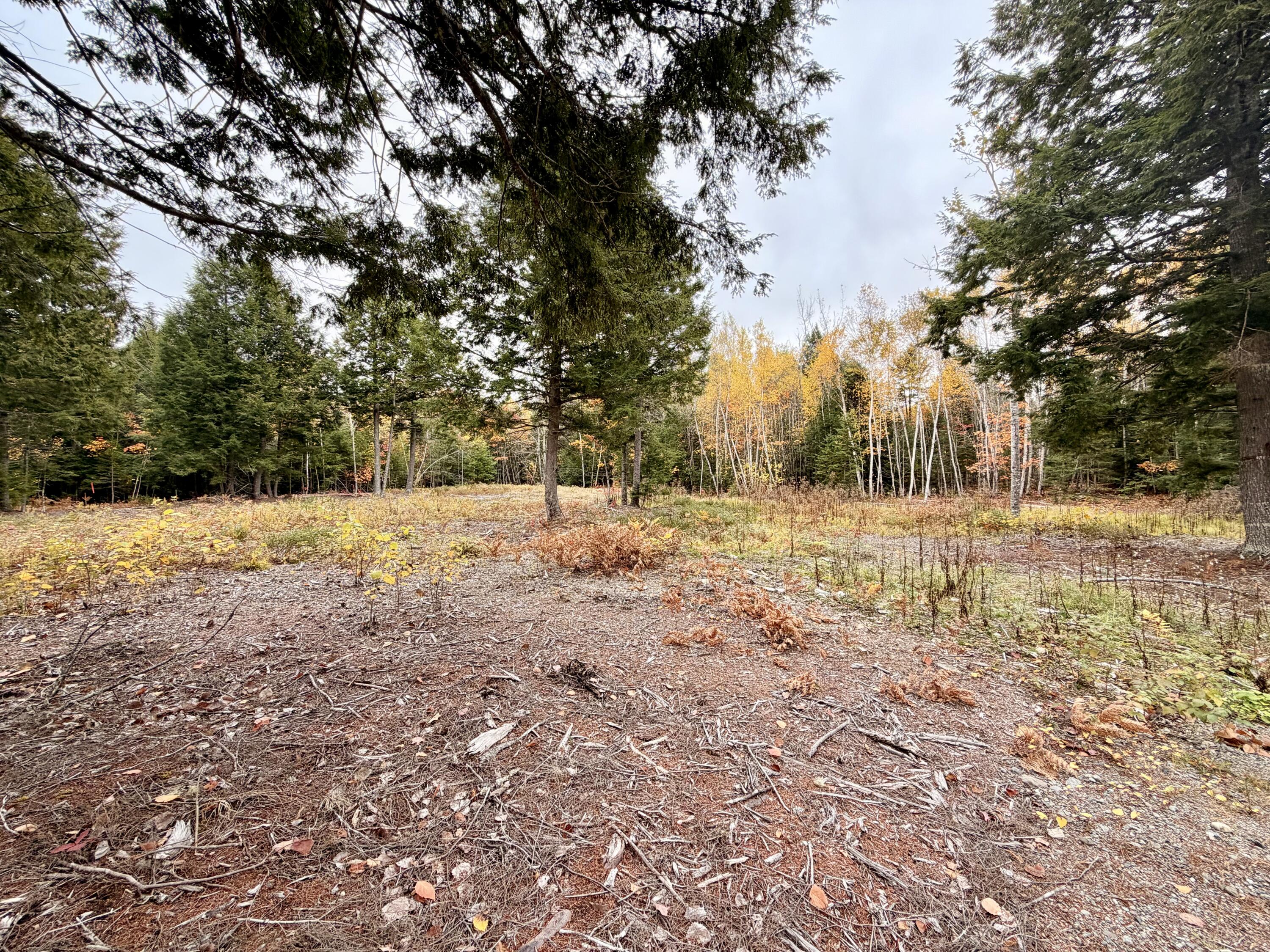 45 Bass Overlook, Waltham, ME, 04605