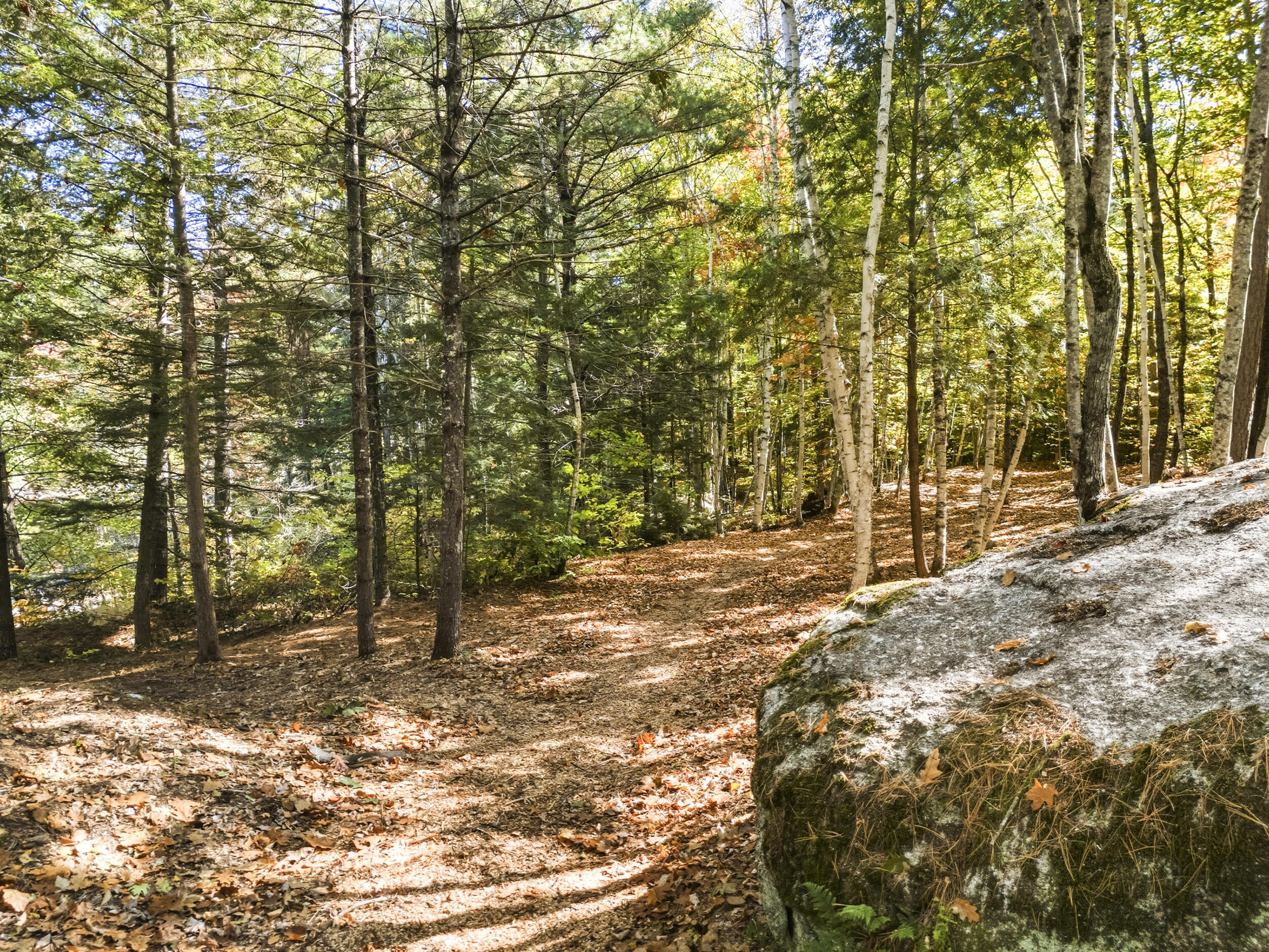 52 N Bridgton Road, Waterford, ME, 04088