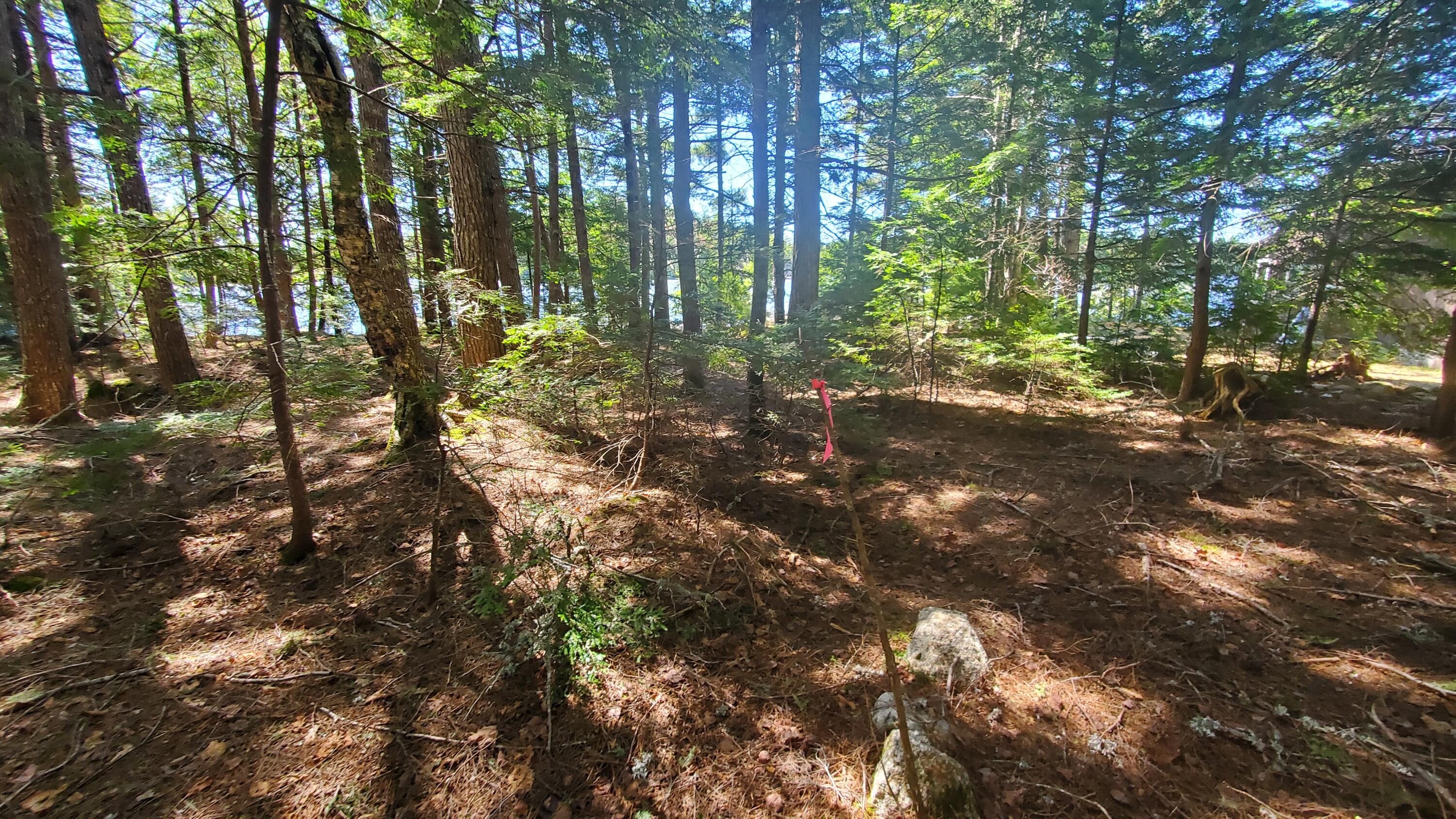 307 Lakeville Shores Road, Lakeville, ME, 04487