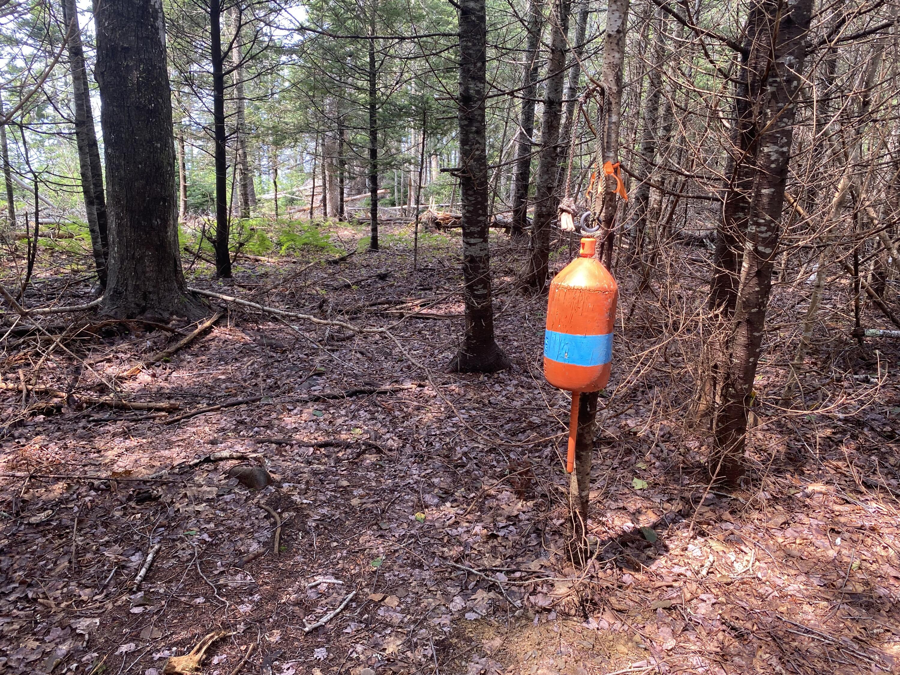 1552 Turtle Head Road, Islesboro, ME, 04848