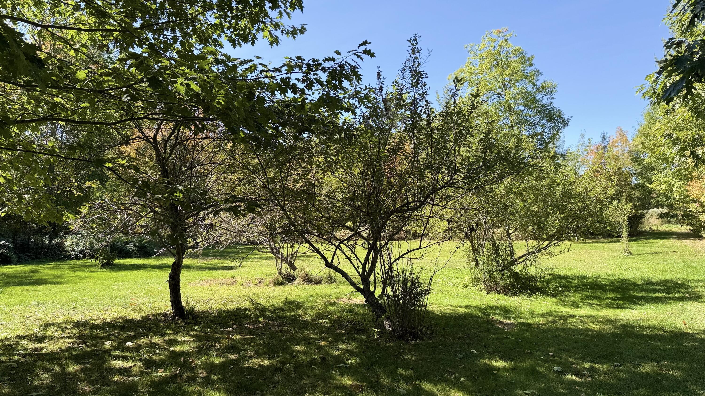 249 School Road, Charleston, ME, 04422