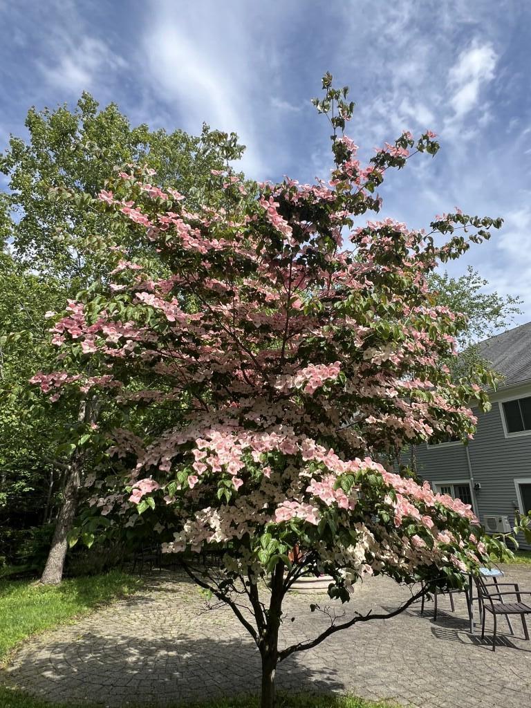 79 E Ridge Road UNIT 211, Southwest Harbor, ME, 04679