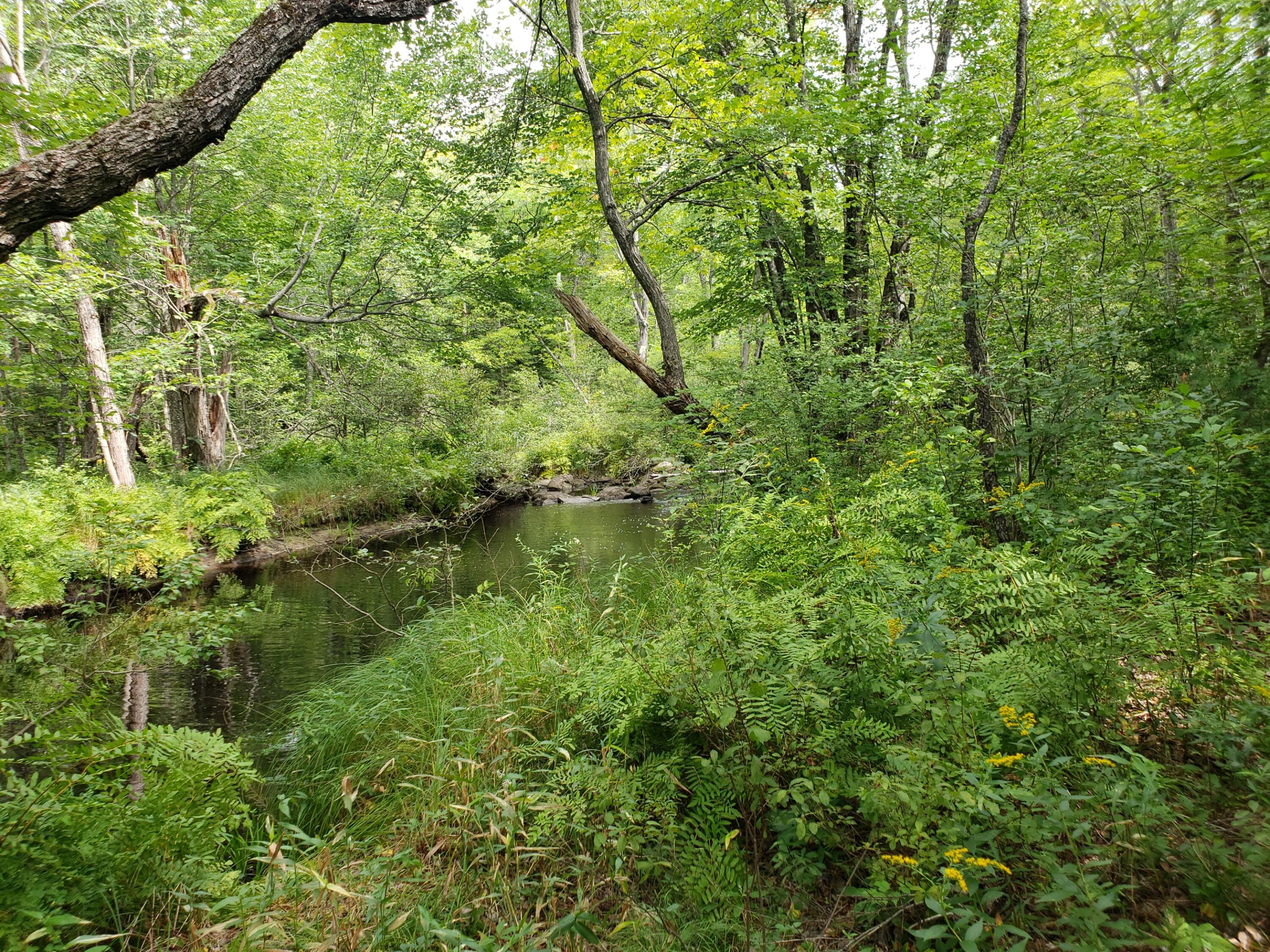 Tbd Crooked River Causeway, Albany Twp, ME, 04217