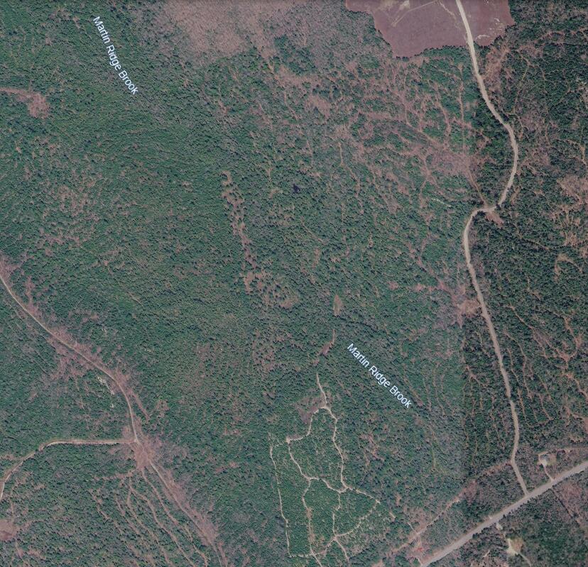 Map10Lot27 Blackswoods Road, Franklin, ME, 04634