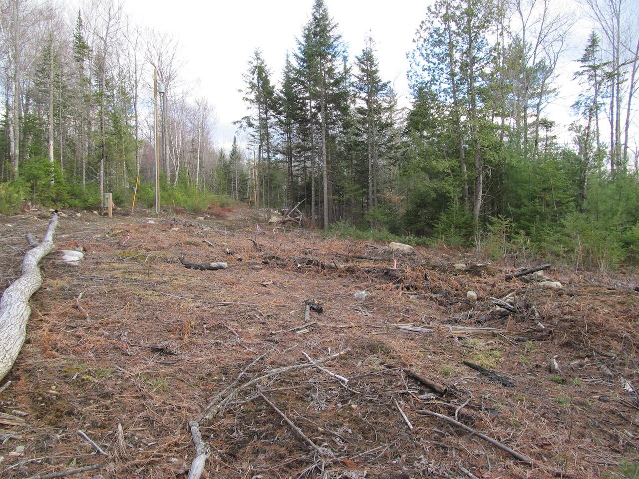 923 Center Hill Road, Weld, ME, 04285