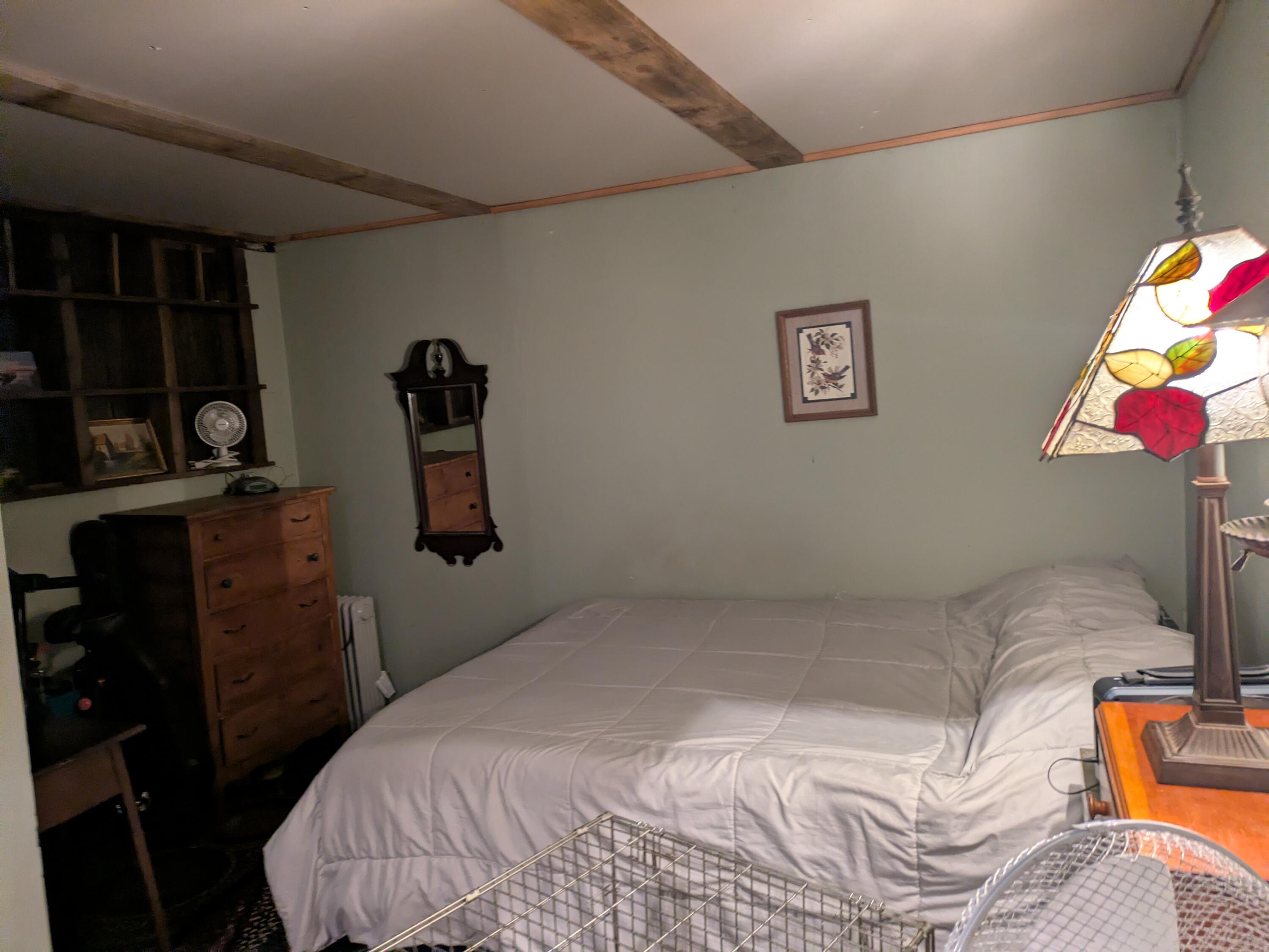 Downstairs Bedroom
