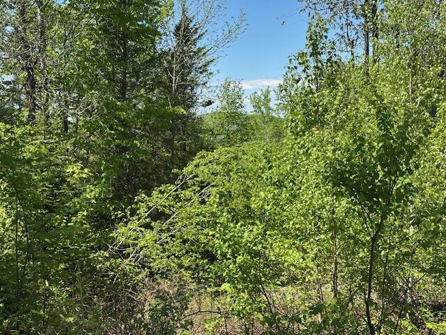 Lot 11 Mt. Jefferson Heights, Lee, ME, 04455