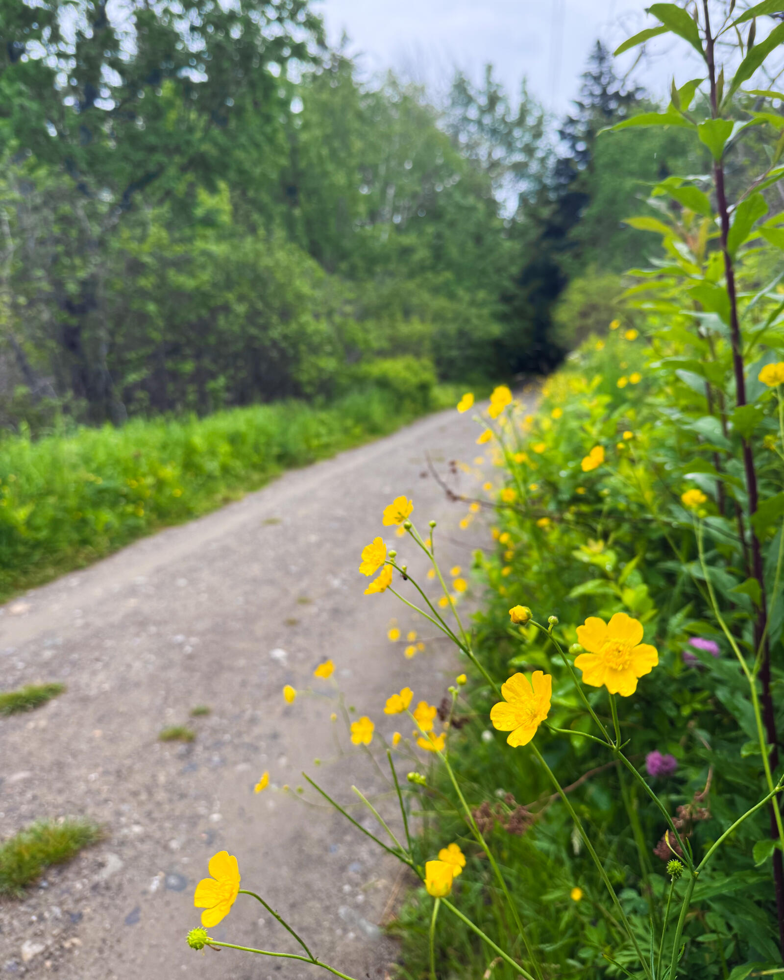 260 Clark Island Road, Saint George, ME, 04859