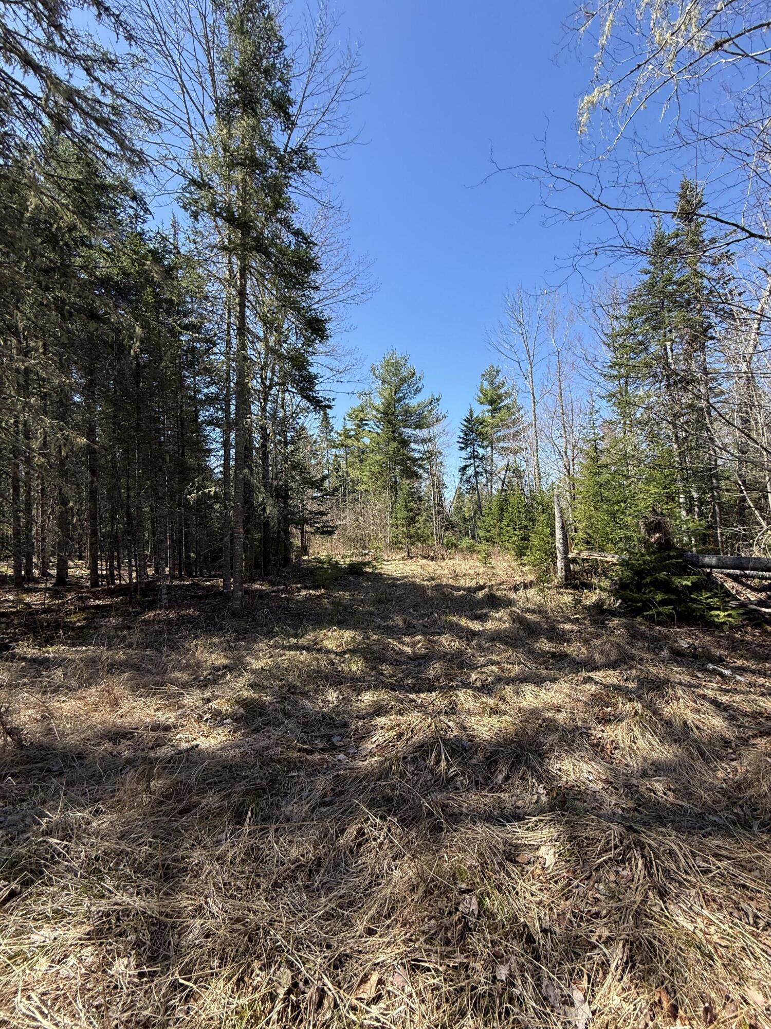 Lot 016-01 142 Old Fisher Rd Road, Holden, ME, 04429