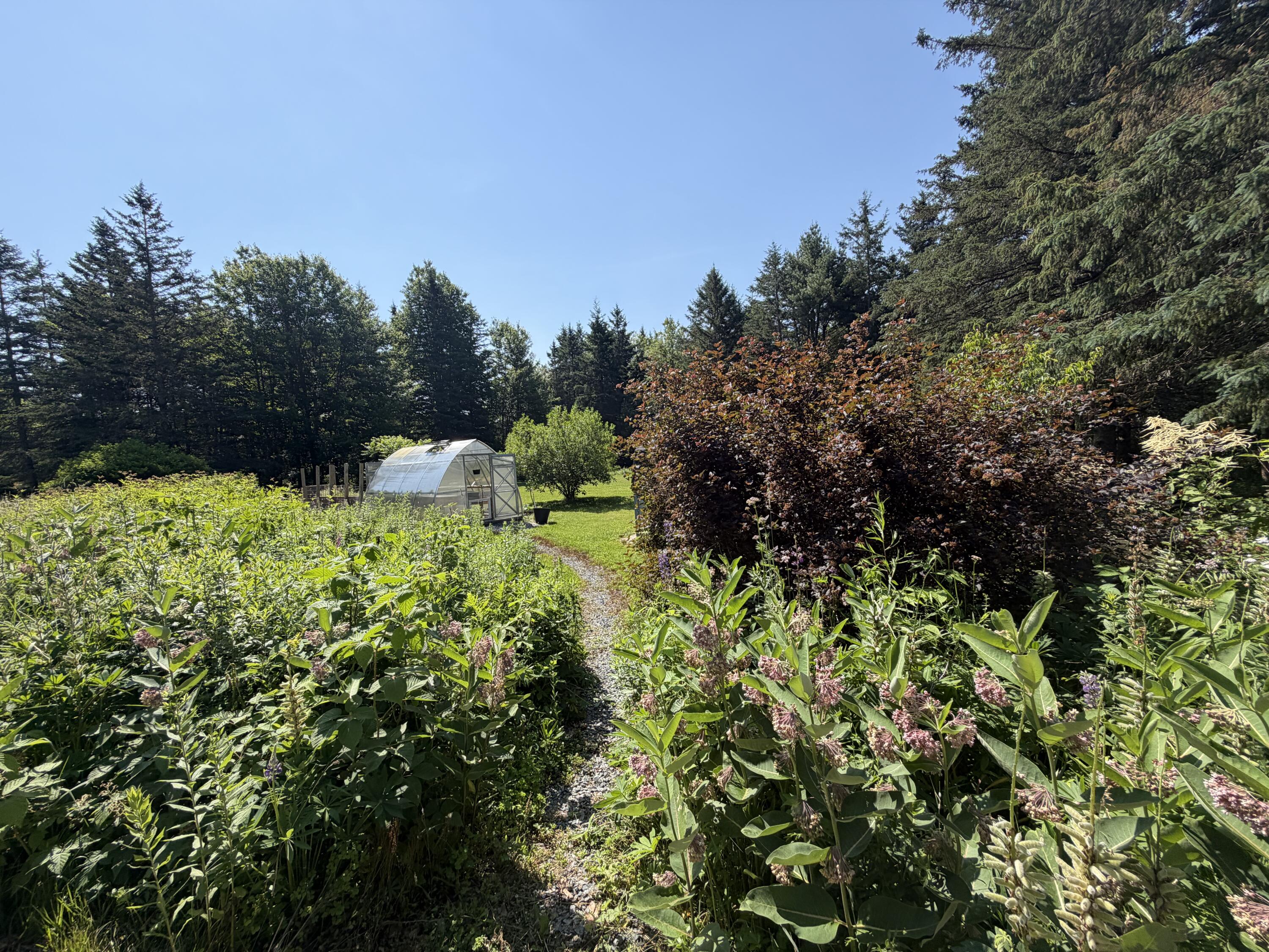 98 Bagaduce Lane, Sedgwick, ME 04676 IMG_2290