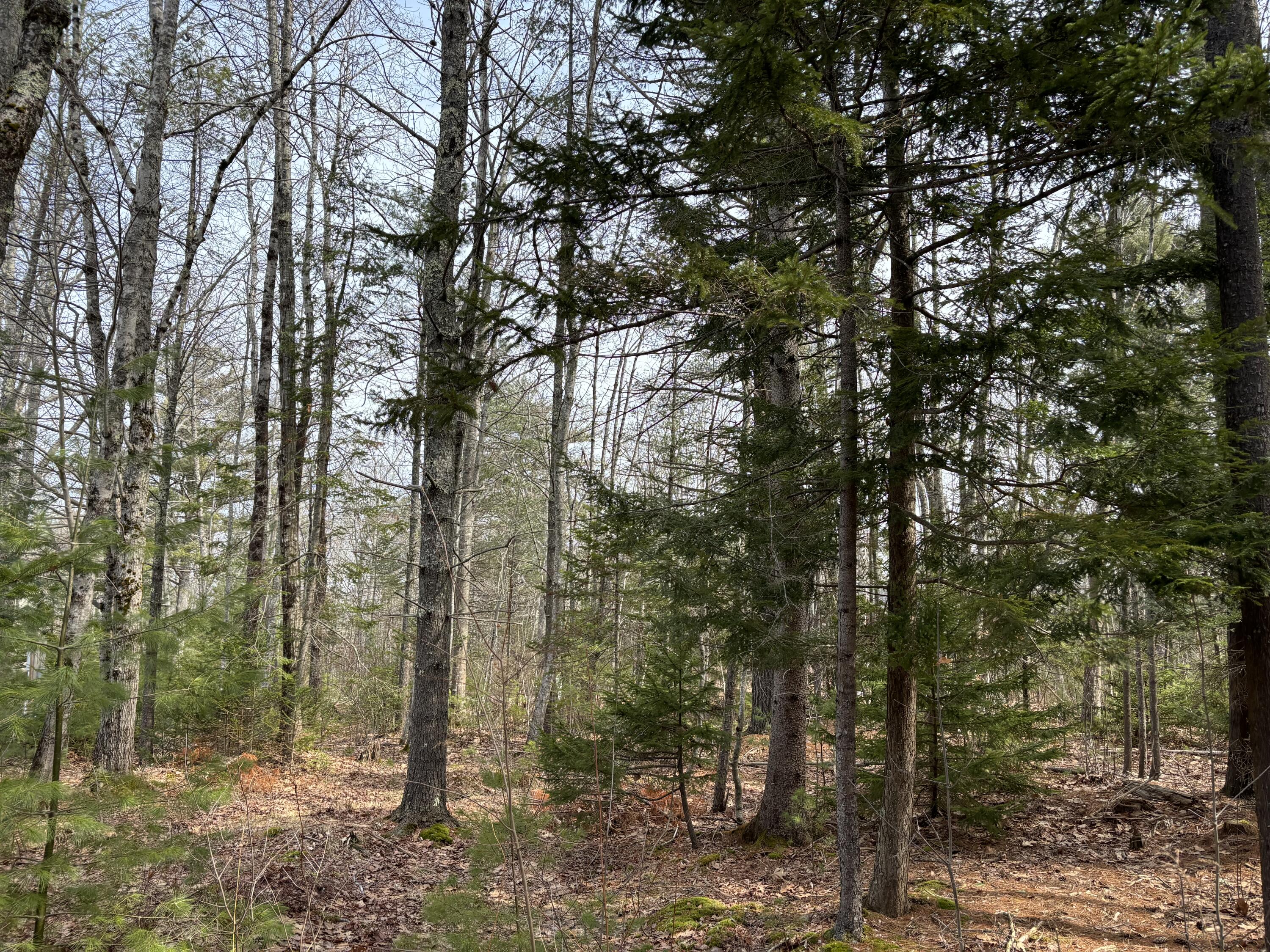 26 Old Nutt Farm Road, Rockport, ME, 04856