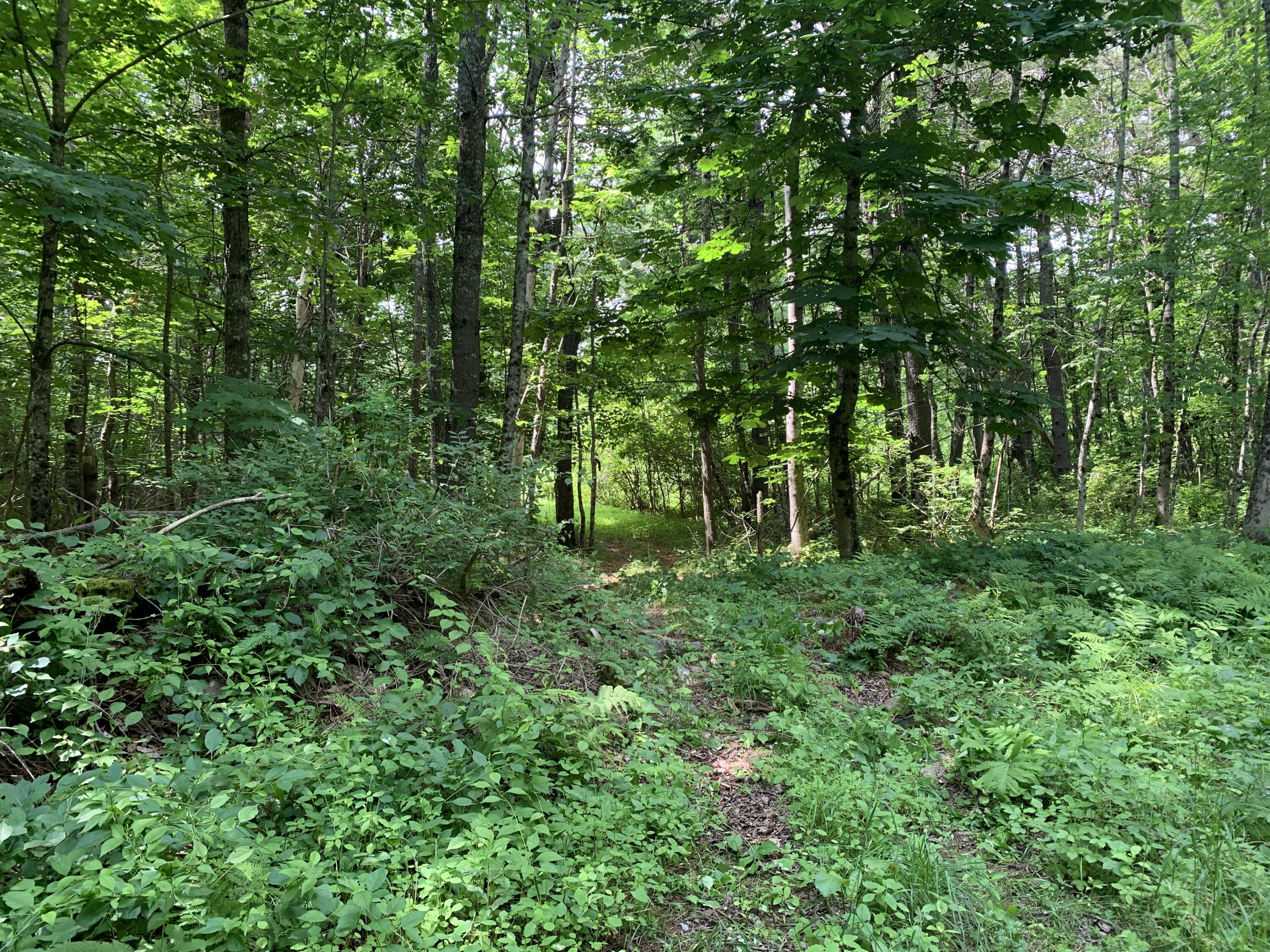 Lot 12 Hallowell Road, Litchfield, ME, 04350