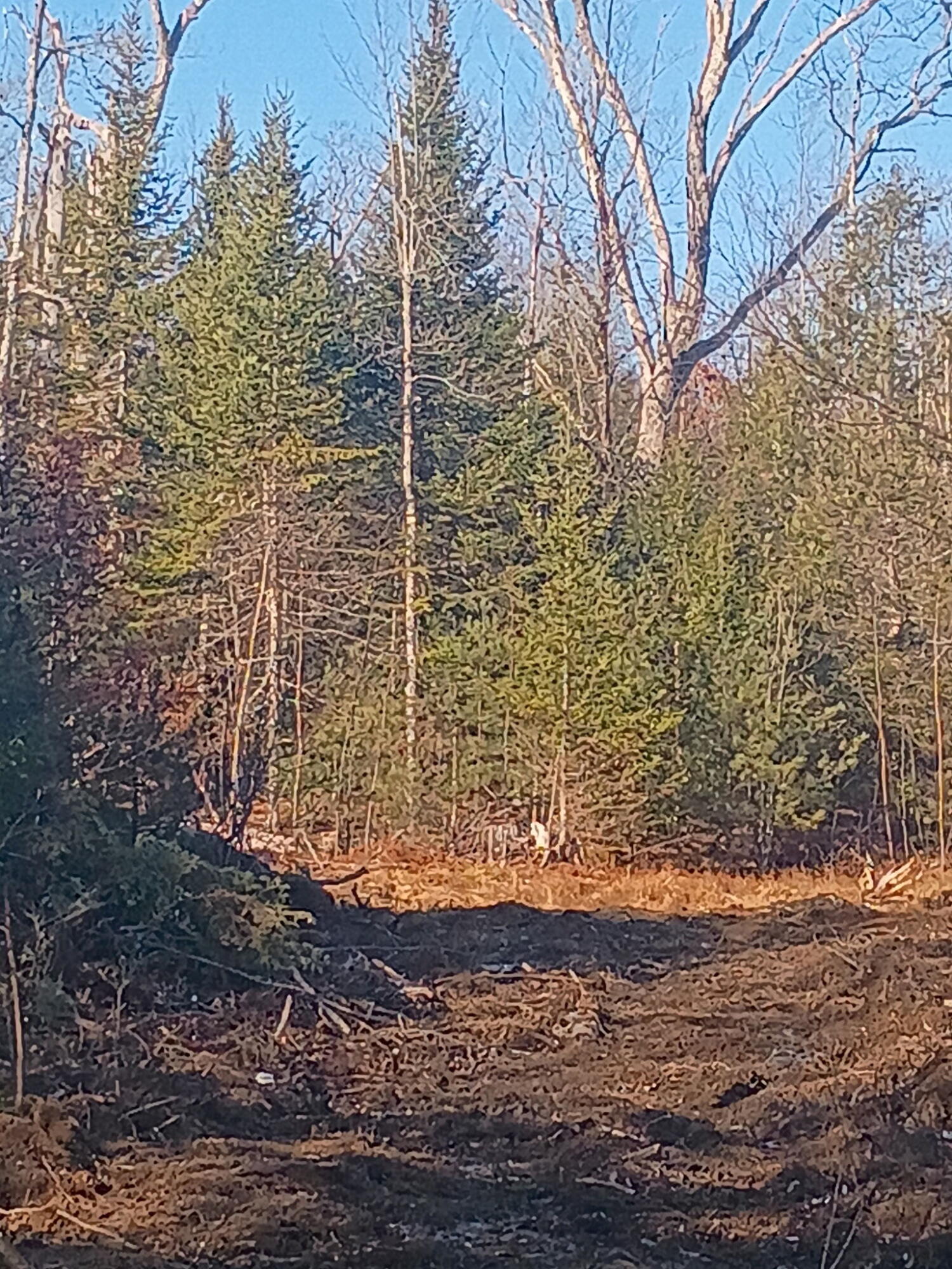 848 Old Stage Road, Woolwich, ME, 04579