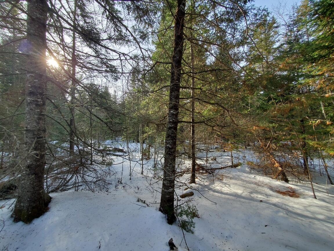 999 Main Road, Eddington, ME, 04428