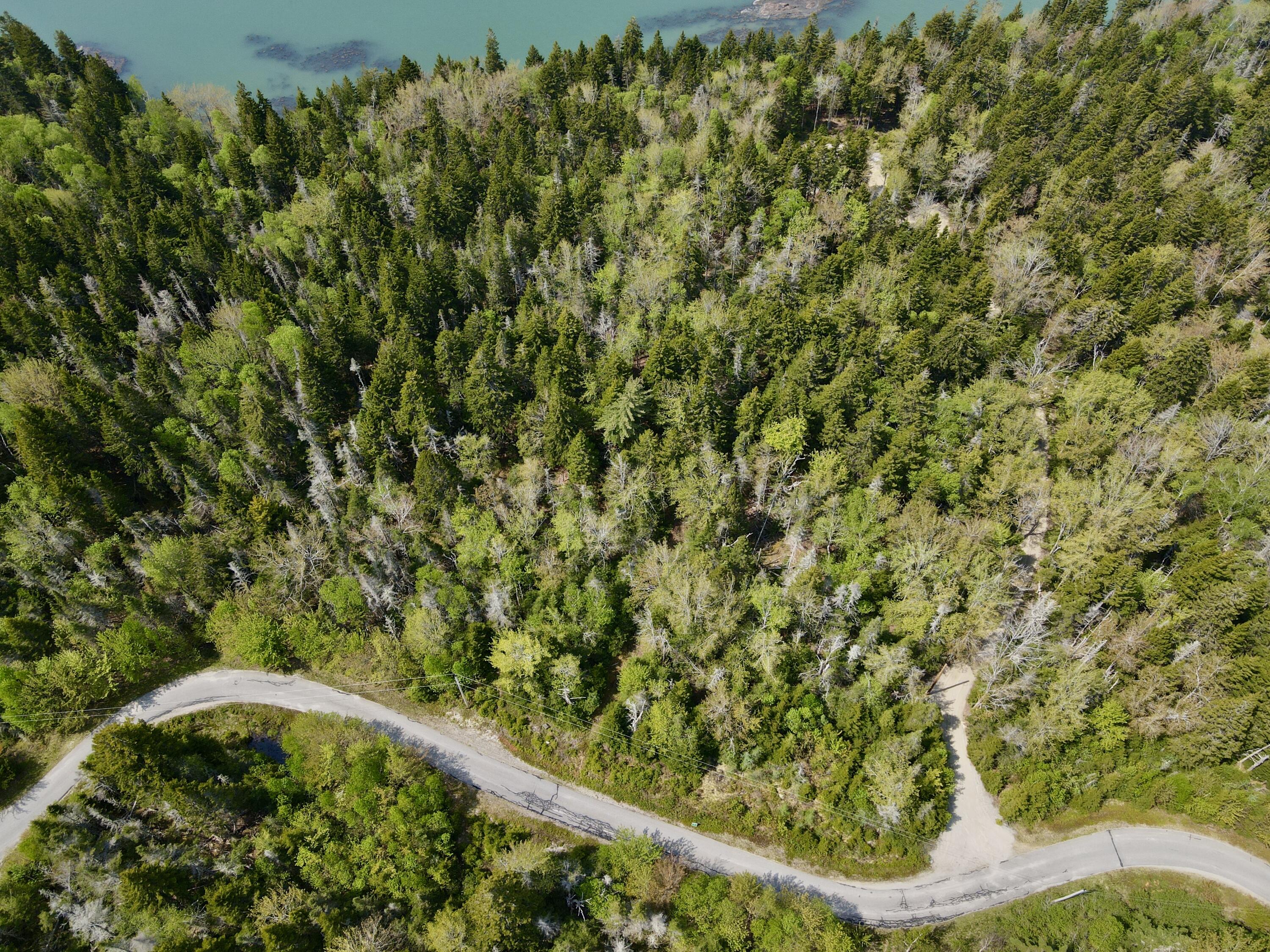 Lot 15 Collins Cove Road, Machiasport, ME, 04655