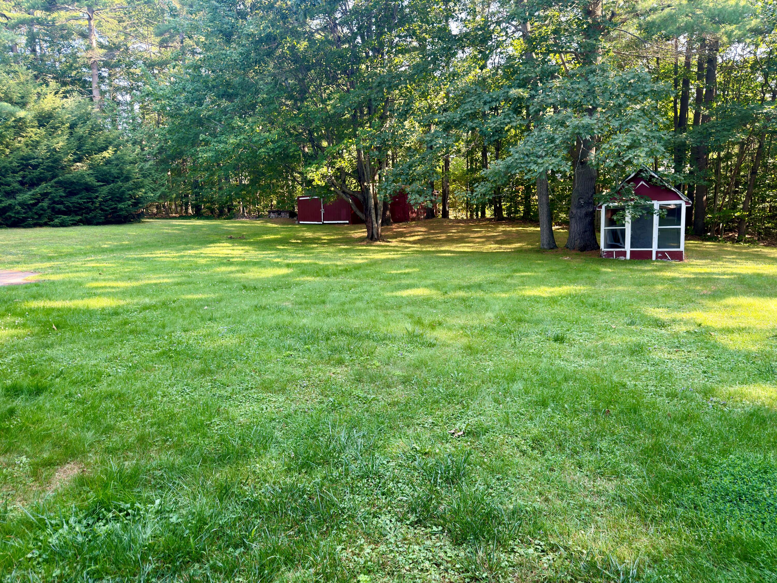 BACKYARD - 1