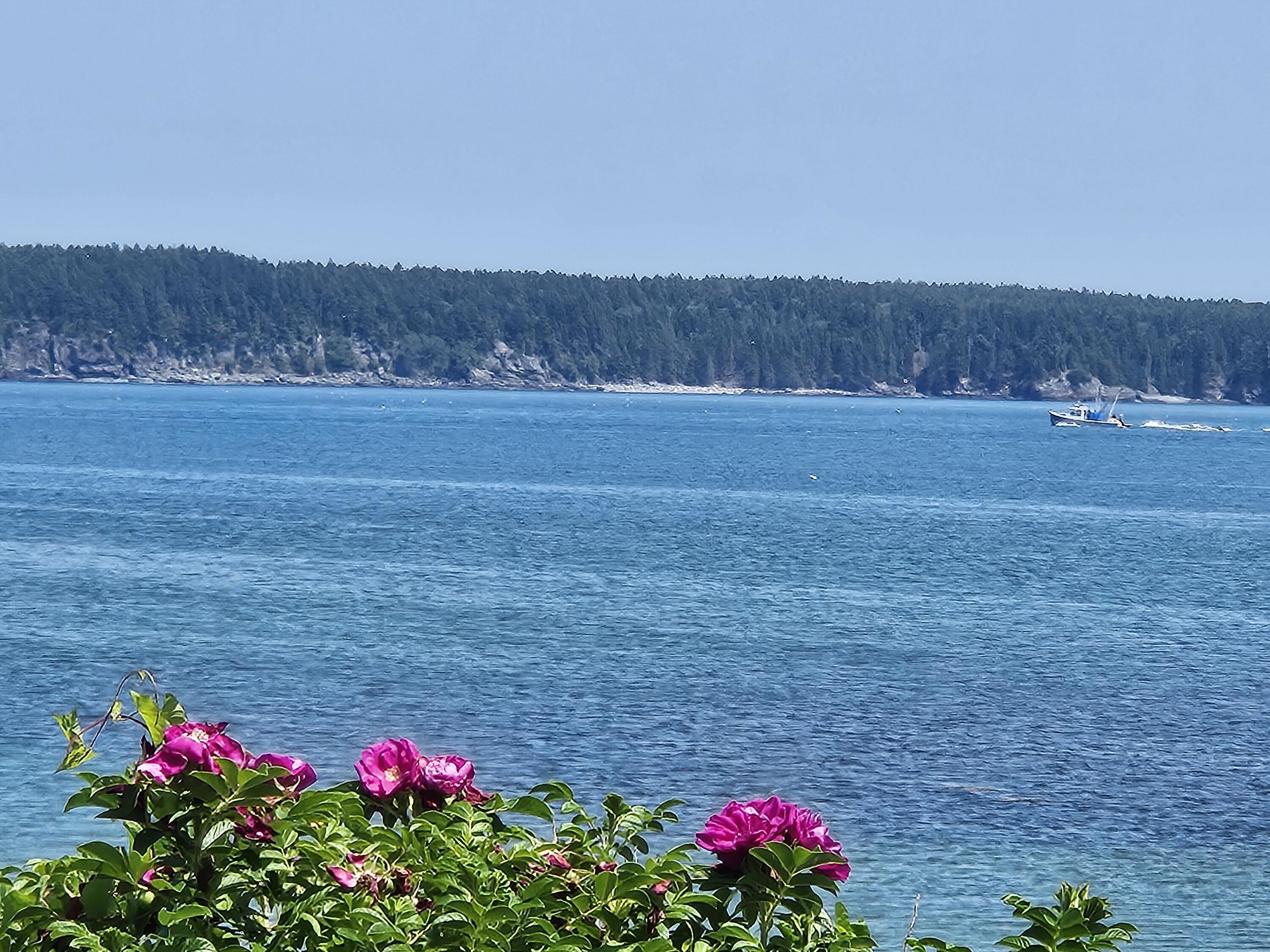 541 Mason Bay Road, Jonesport, ME, 04649