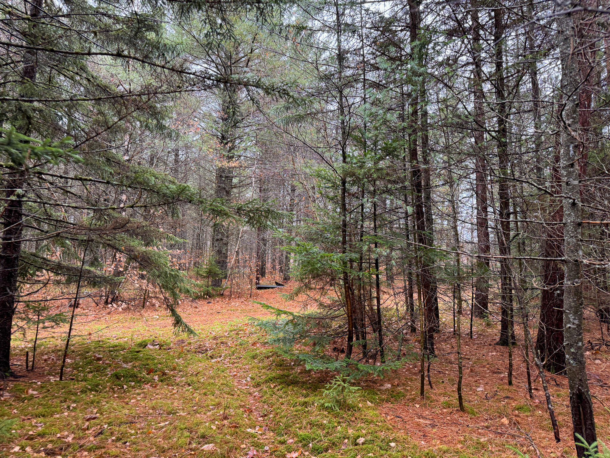 43 Fleming Road, Bethel, ME, 04217