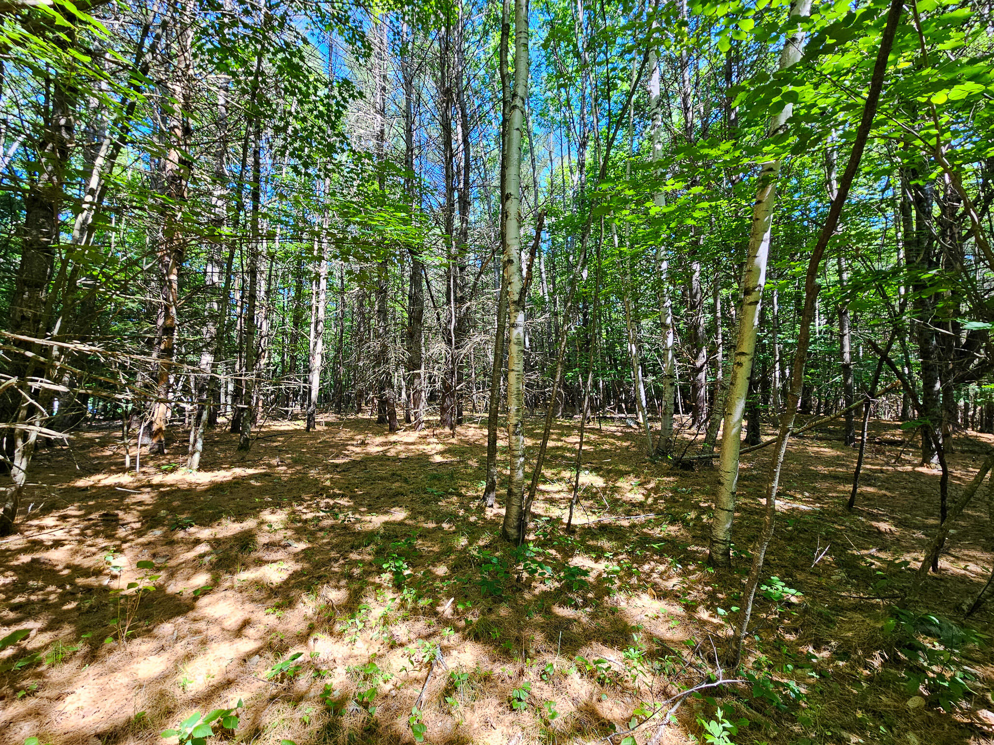 11-31-C Stone Hill Road, Farmington, ME, 04938