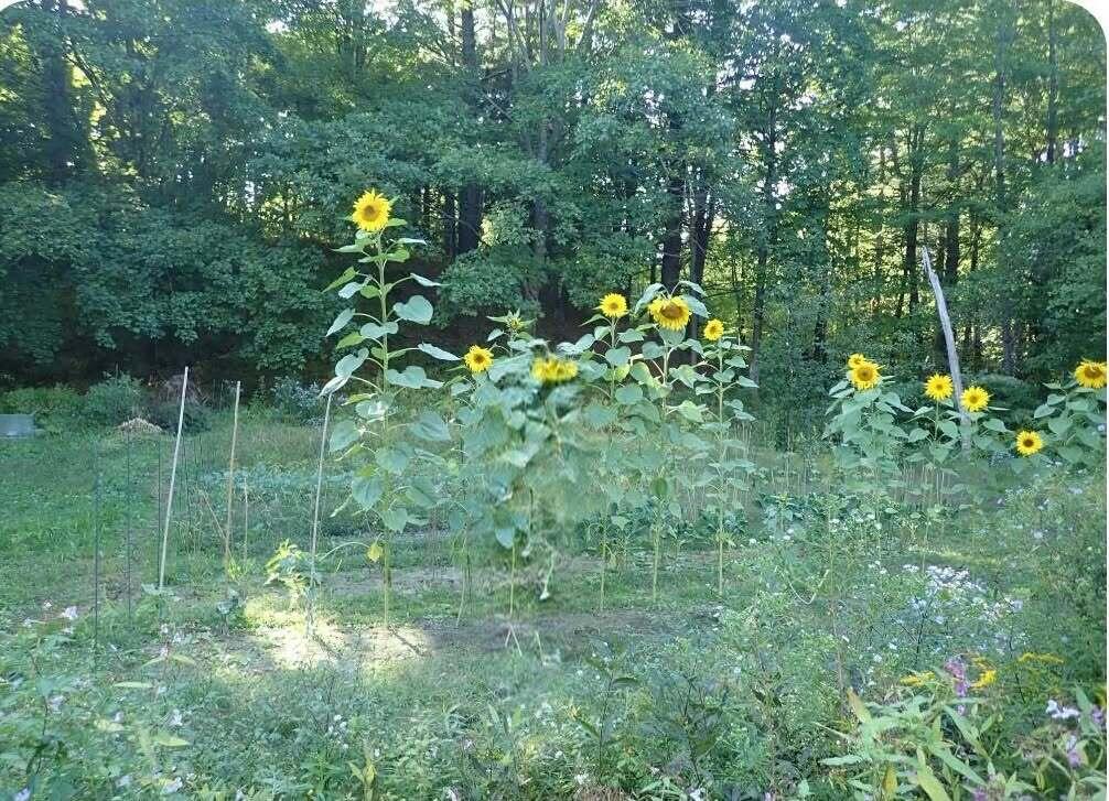 38 Main Street, Topsham, ME, 04086