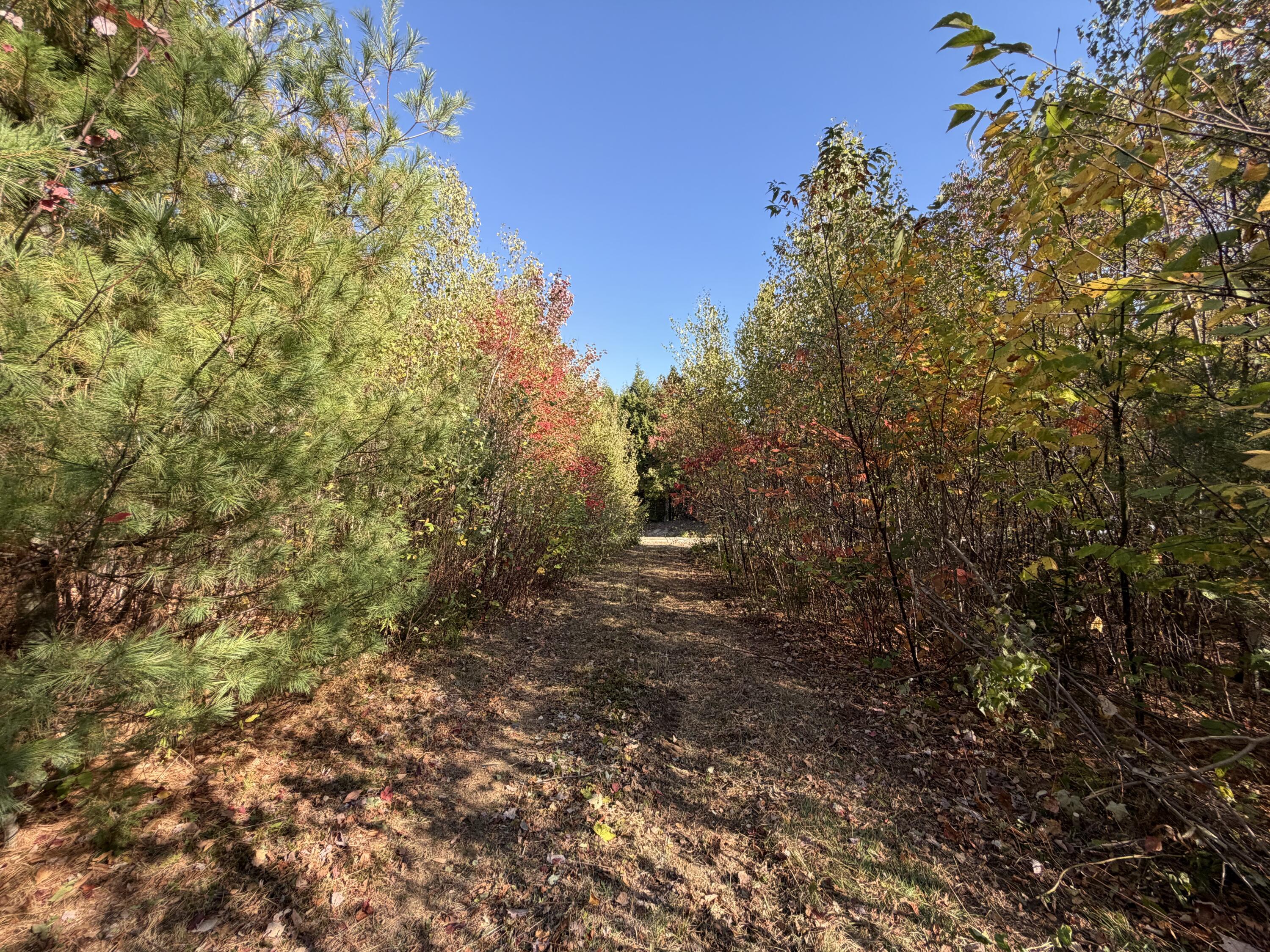 Off Lord Brook Road, Grand Falls Twp, ME, 04418