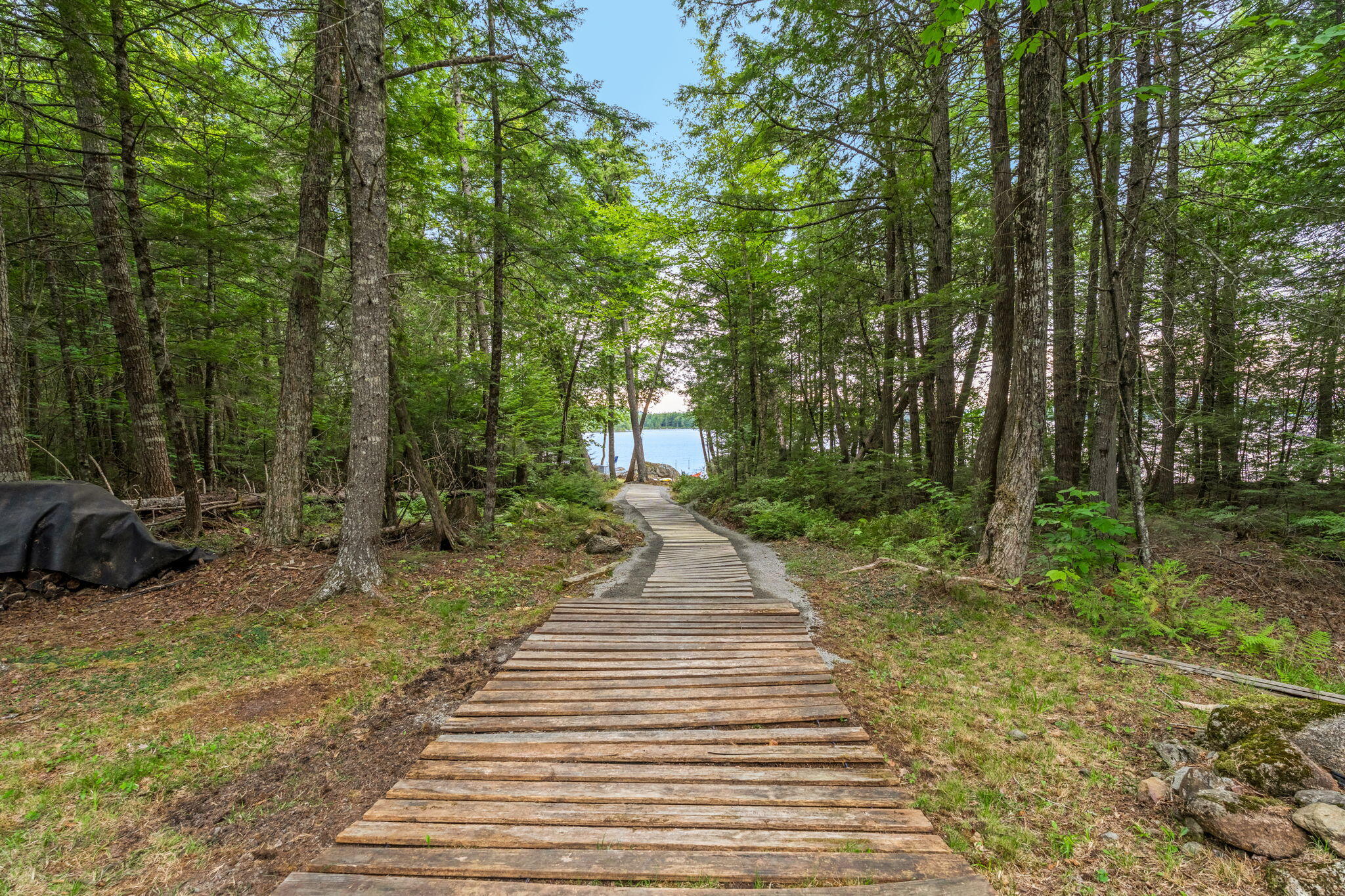 38-web-or-mls-687-e-madasgascal-pond-rd