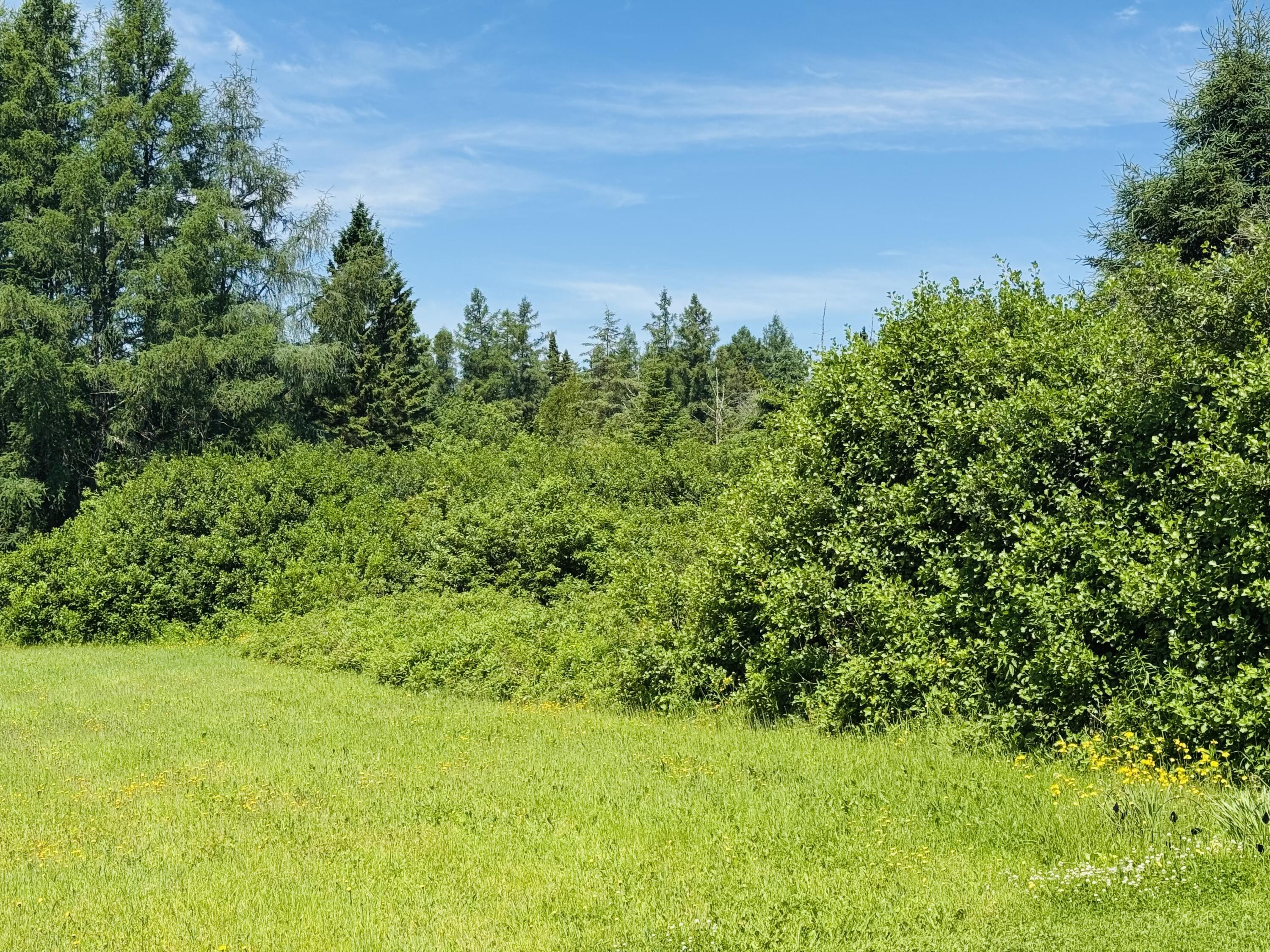 1710 Van Buren Road, Connor Twp, ME, 04736