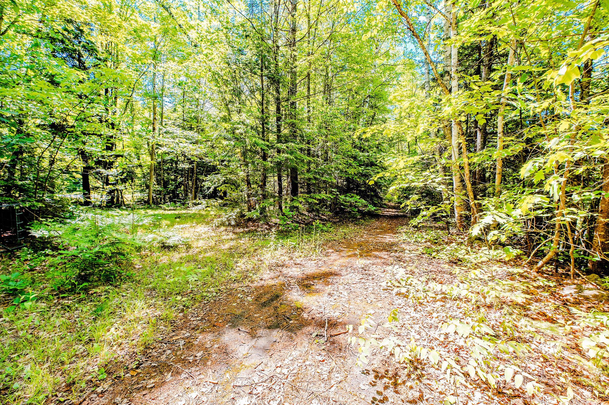 1574 Roxbury Road, Roxbury, ME 04275 Walking Trail/Path