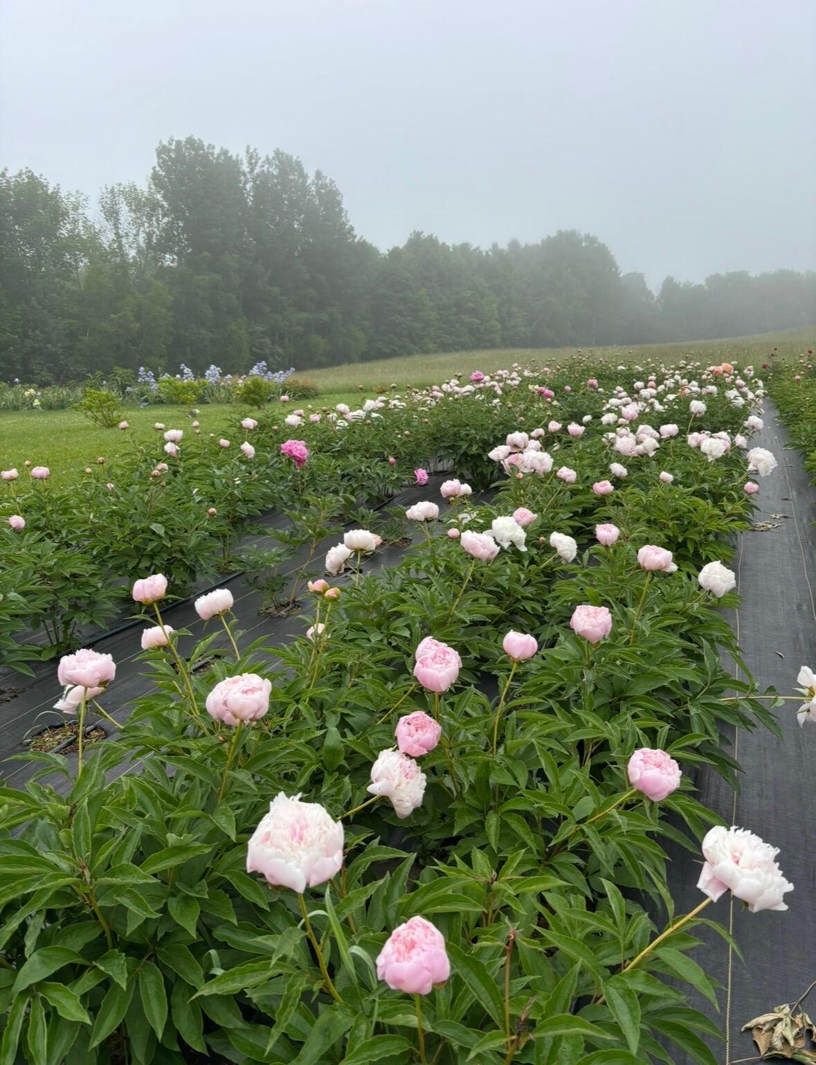 68 Pullen Road, Dexter, ME, 04930