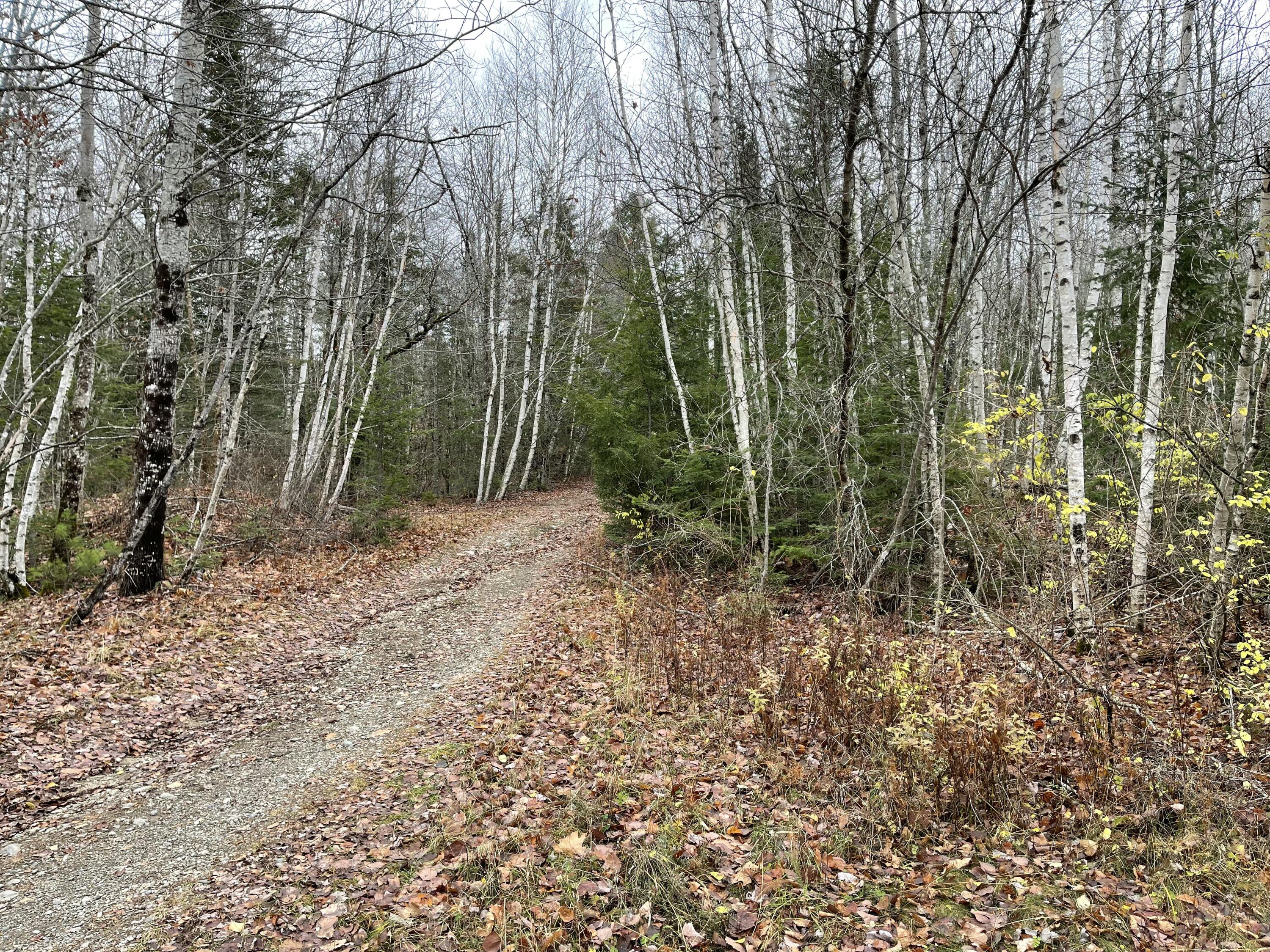 194 E Gulch Road, Thorndike, ME, 04986