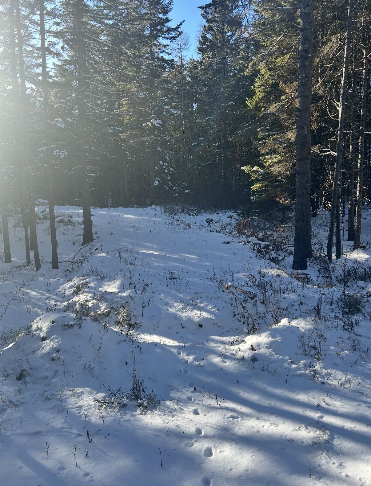 774 Spruce Head Road, Saint George, ME, 04858