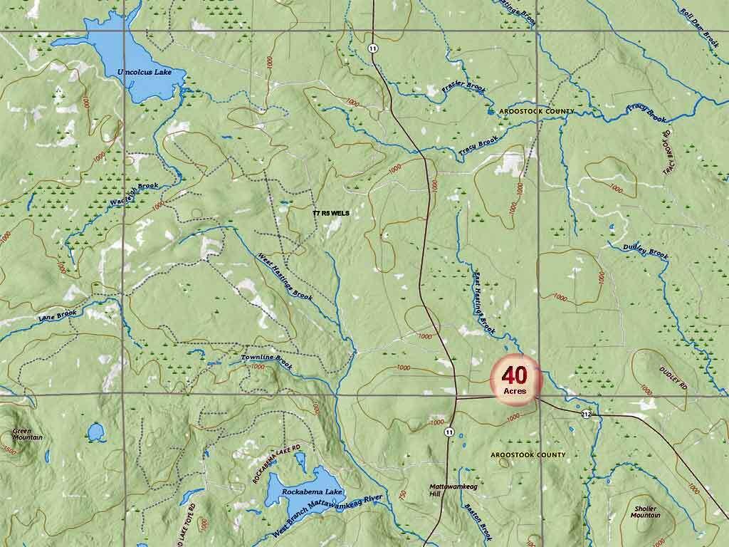 230 Maine 212, Moro Plt, ME, 04780