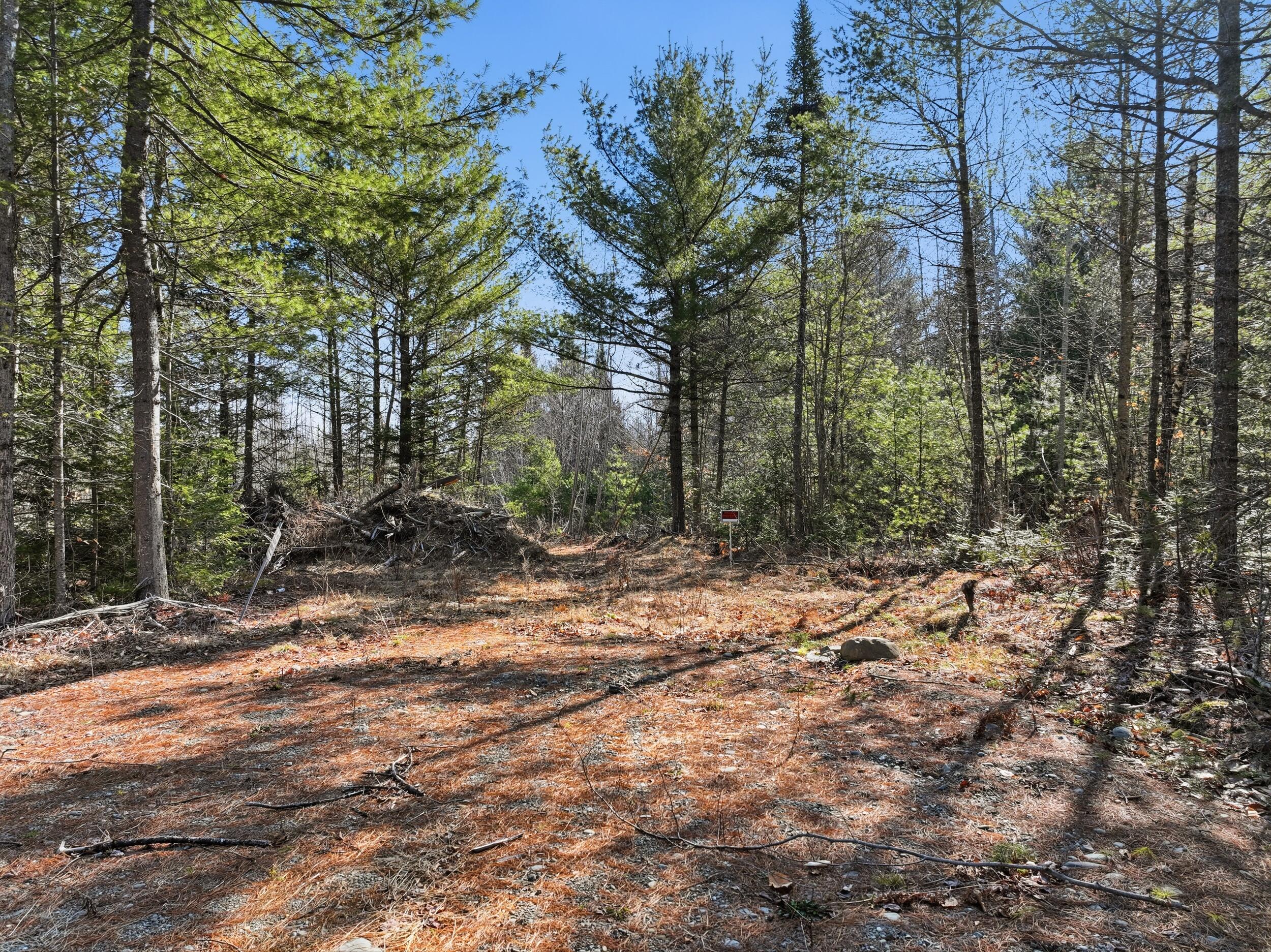 TBD Bennoch Road, Alton, ME, 04468